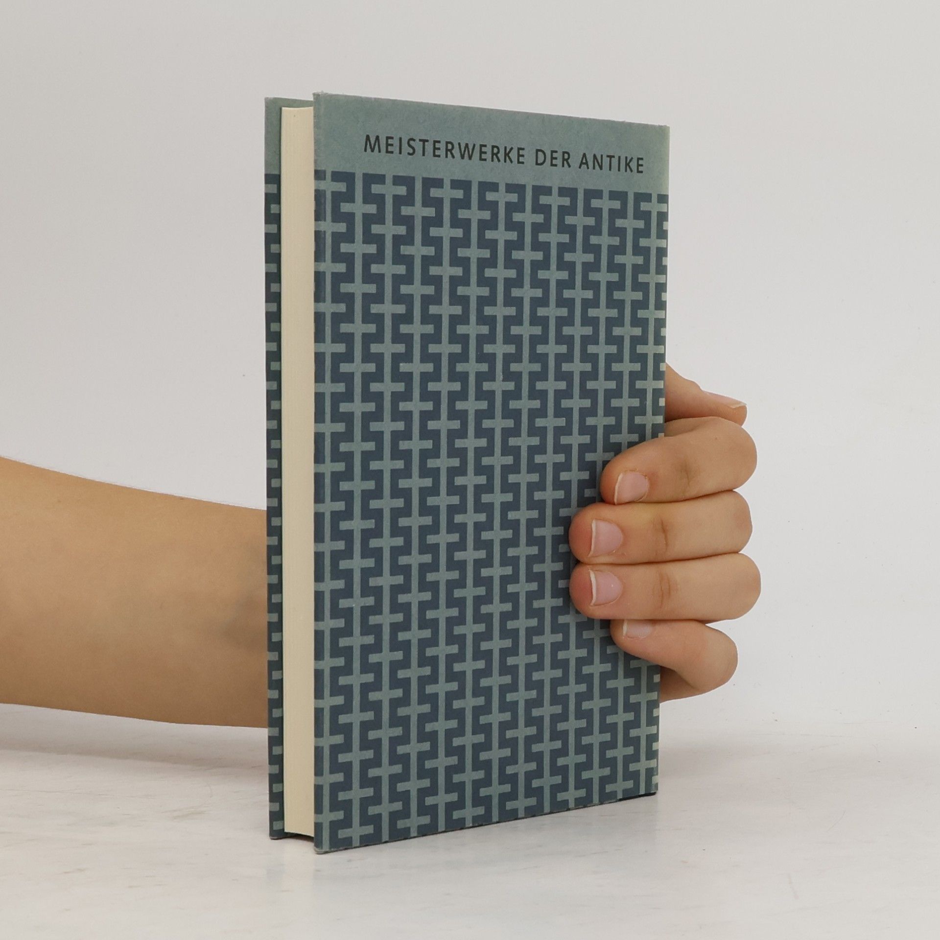 Gaius Sallustius Crispus Historische Schriften. Meisterwerke der Antike