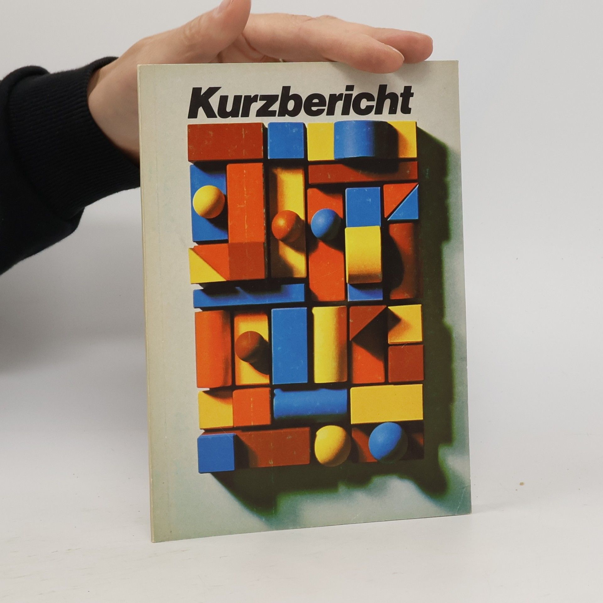 Autorenkollektiv Kurzbericht