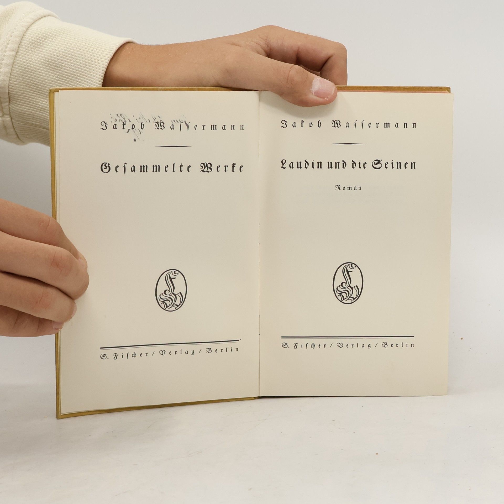 Jakob Wassermann Laudin und die Seinen