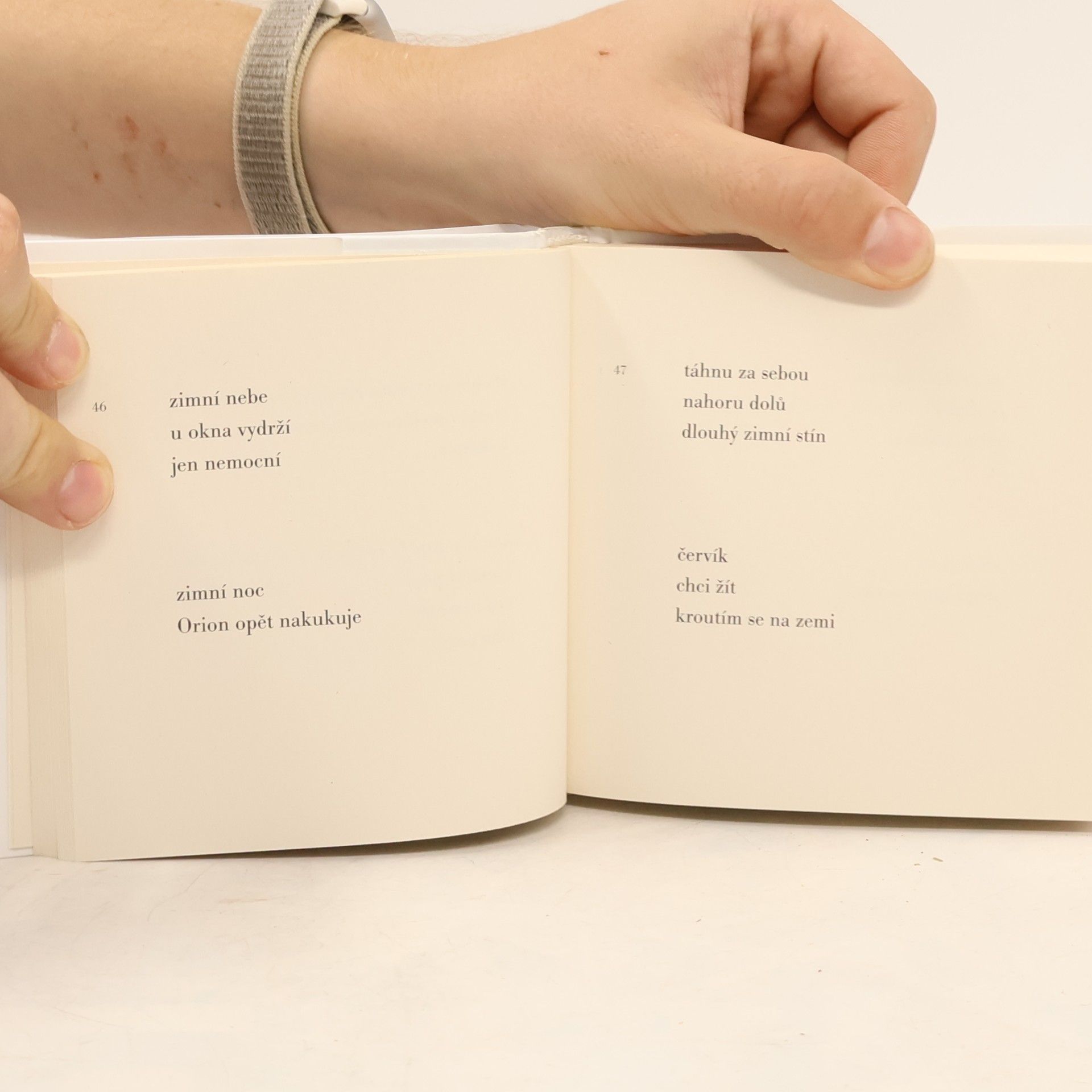 Sumitaku Kenšin Nedokončená haiku