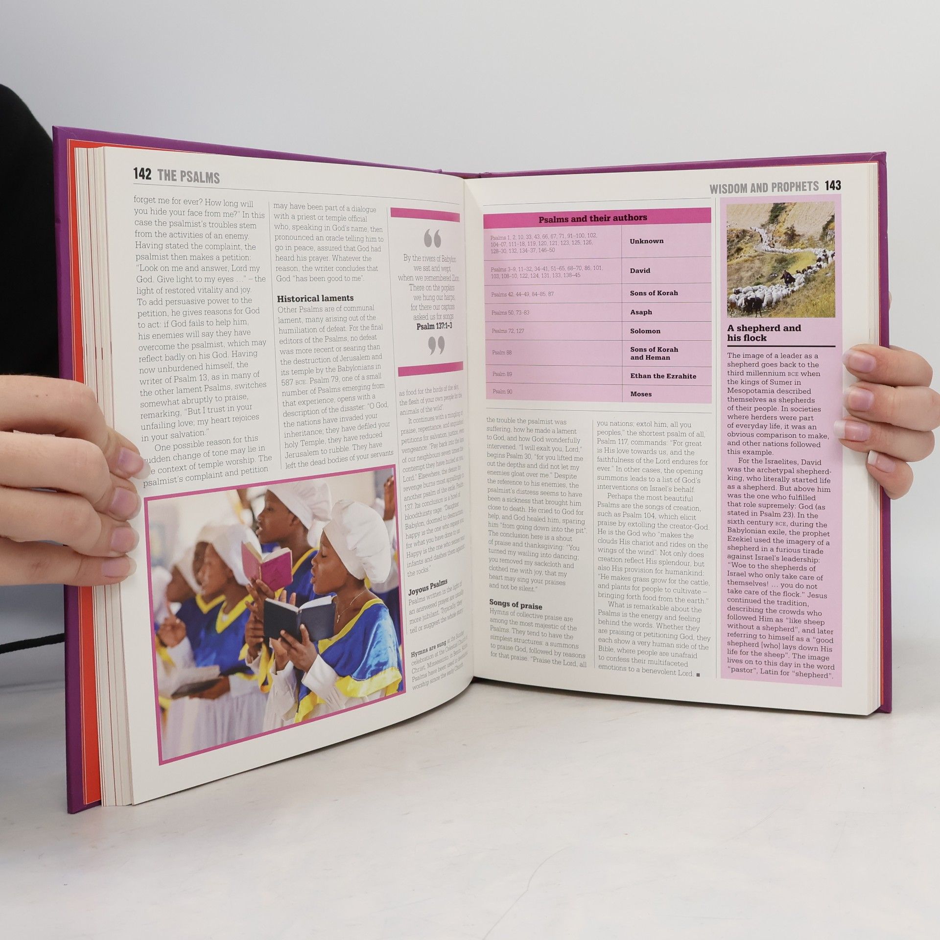 Autorenkollektiv The Bible book