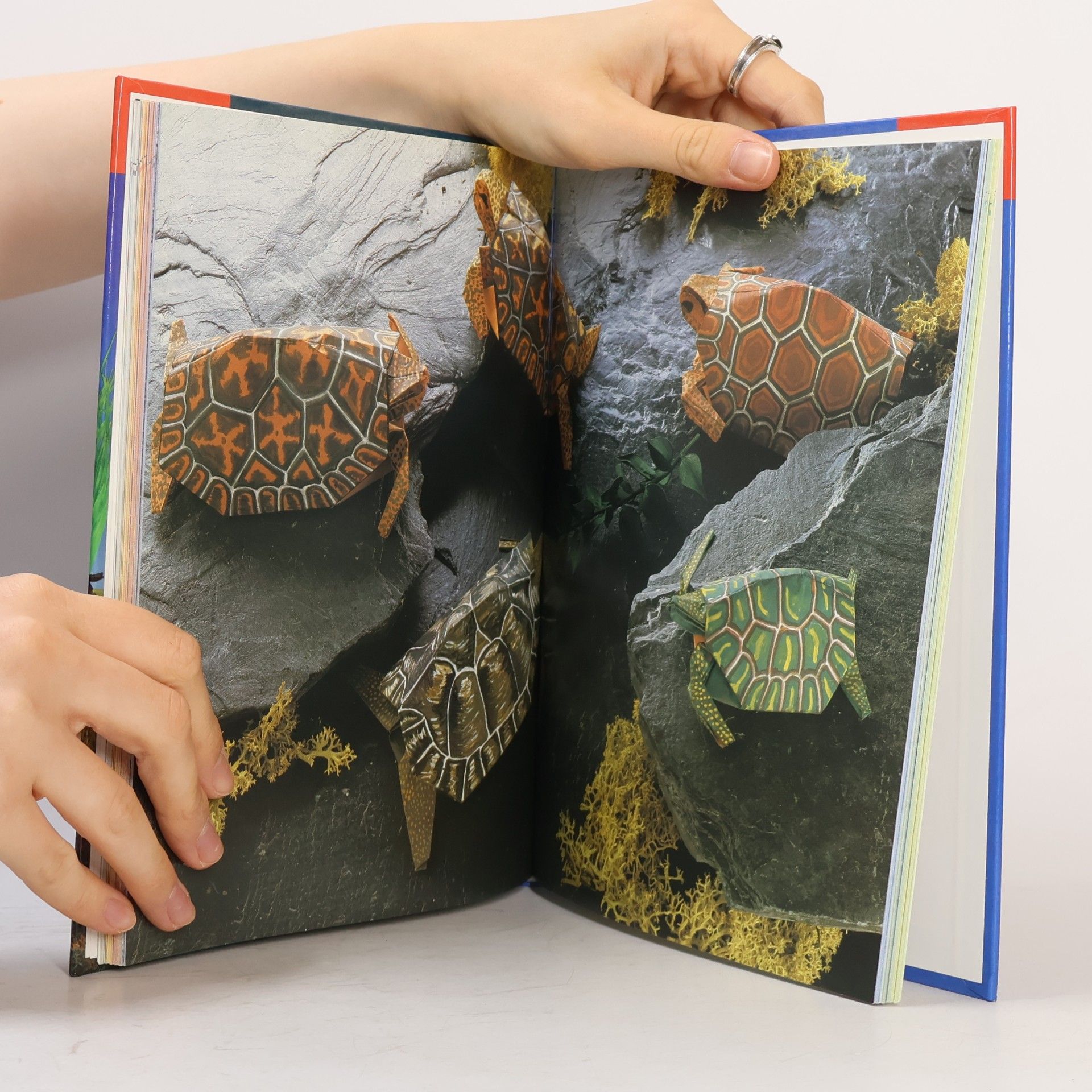 Héctor Rojas F Fascinující svět origami zvířátek