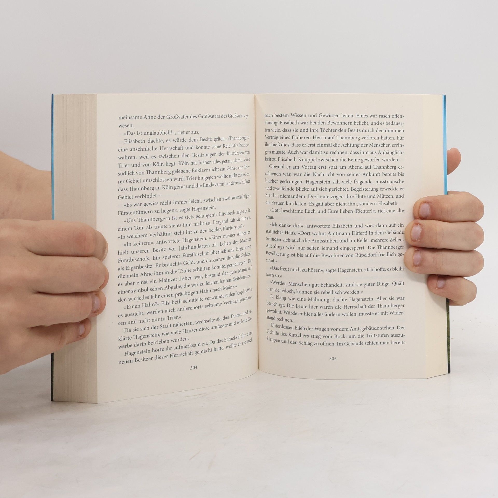 Iny Lorentz Ein verhängnisvolles Testament