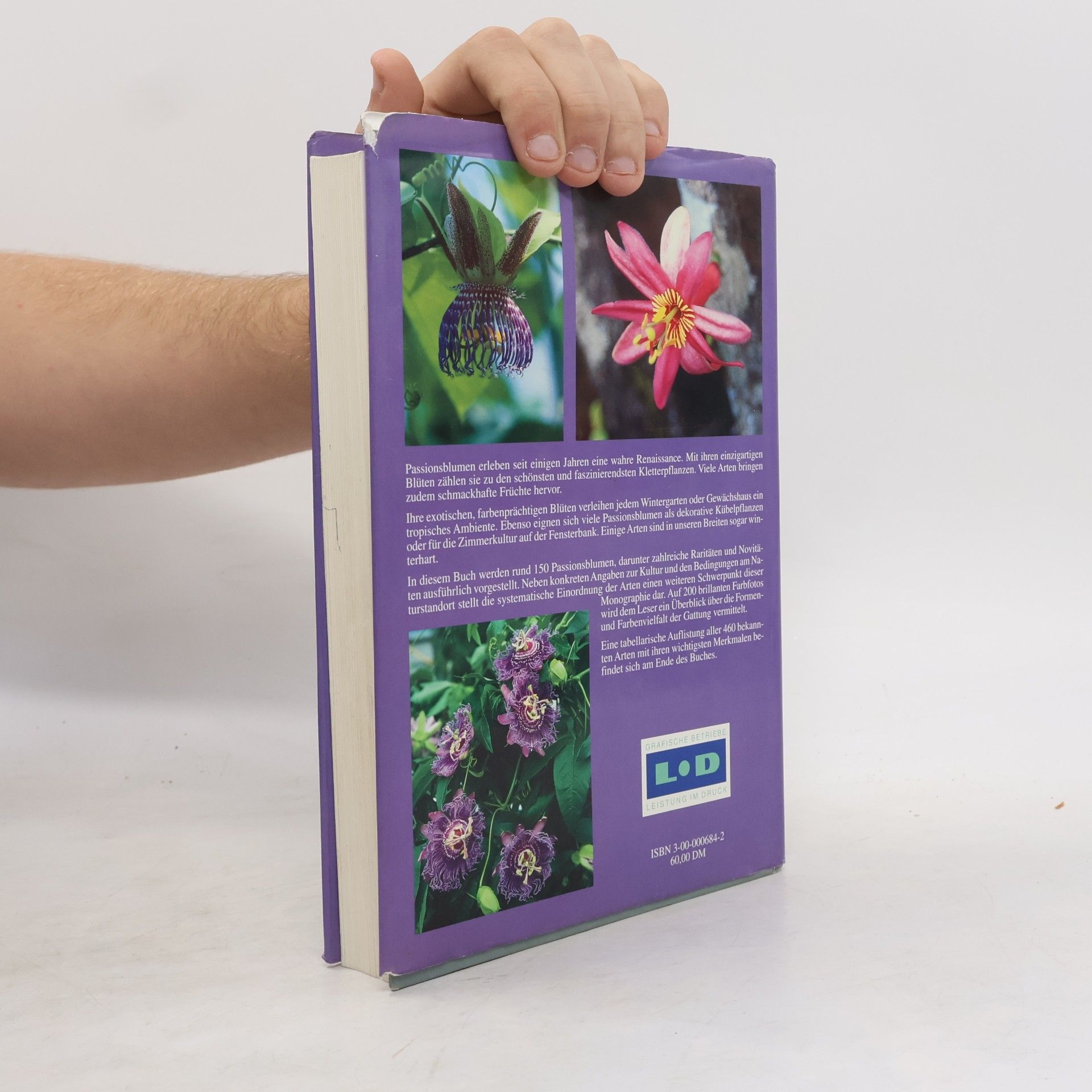 Bettina Ulmer Passionsblumen