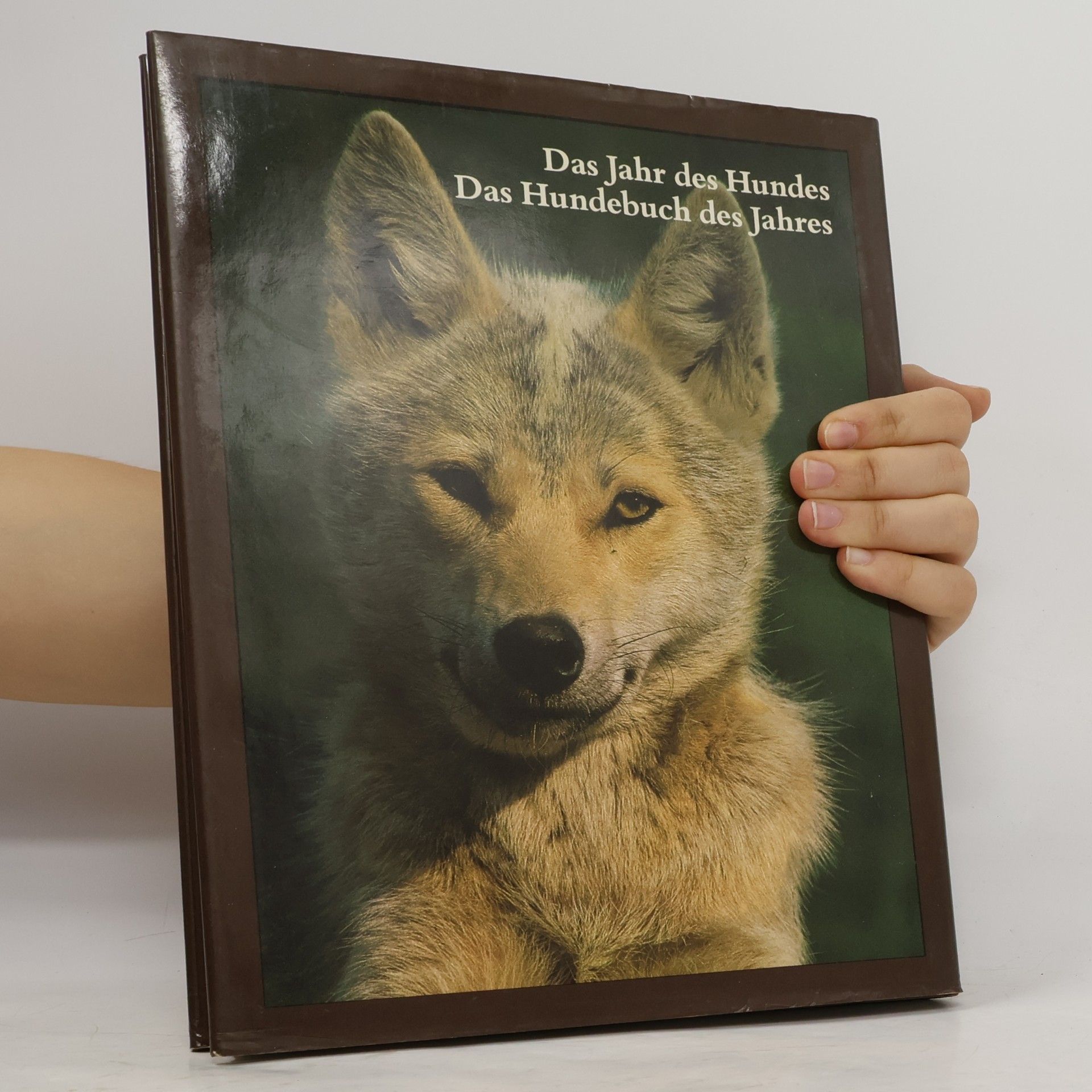 Eberhard Trumler Das Jahr des Hundes