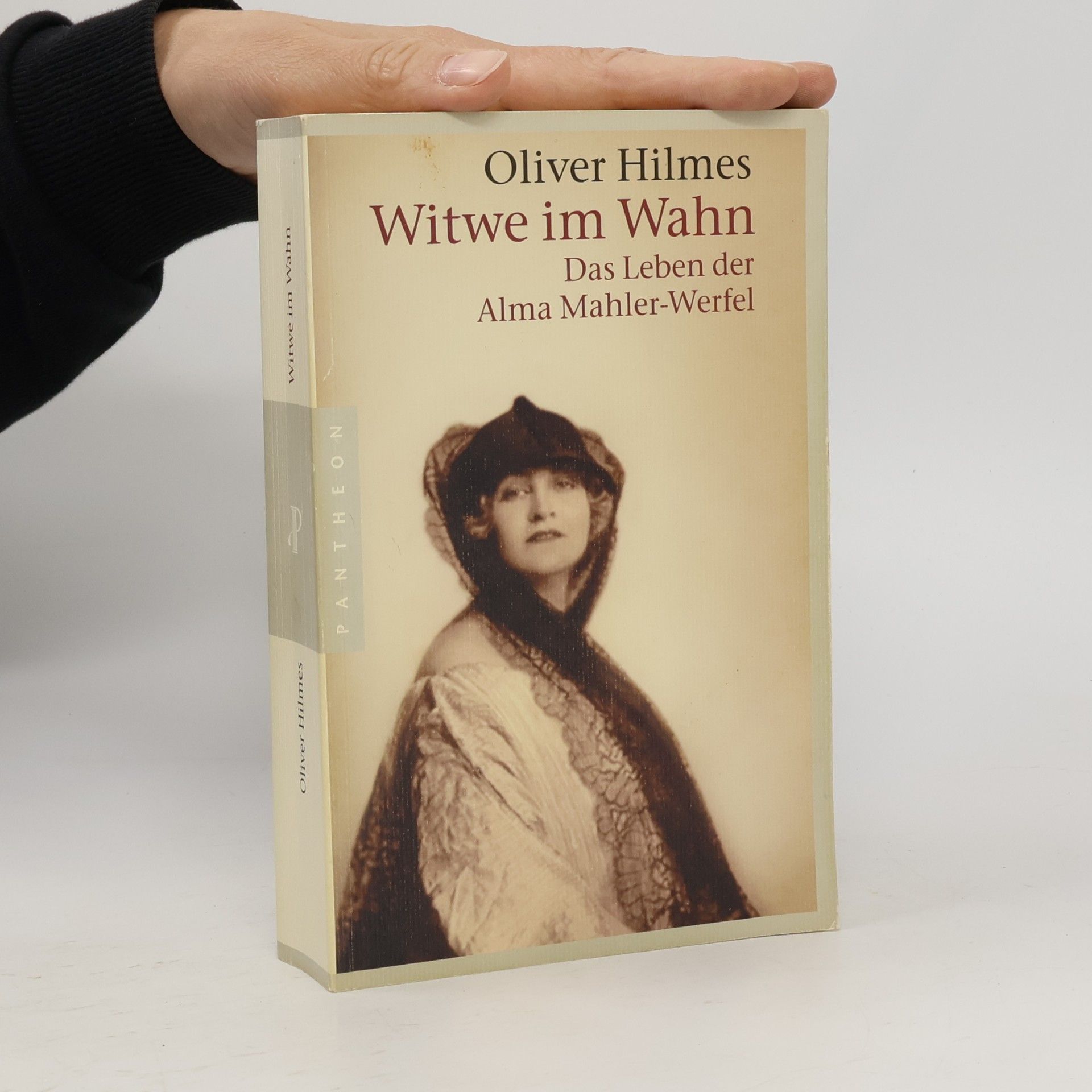 Oliver Hilmes Witwe im Wahn