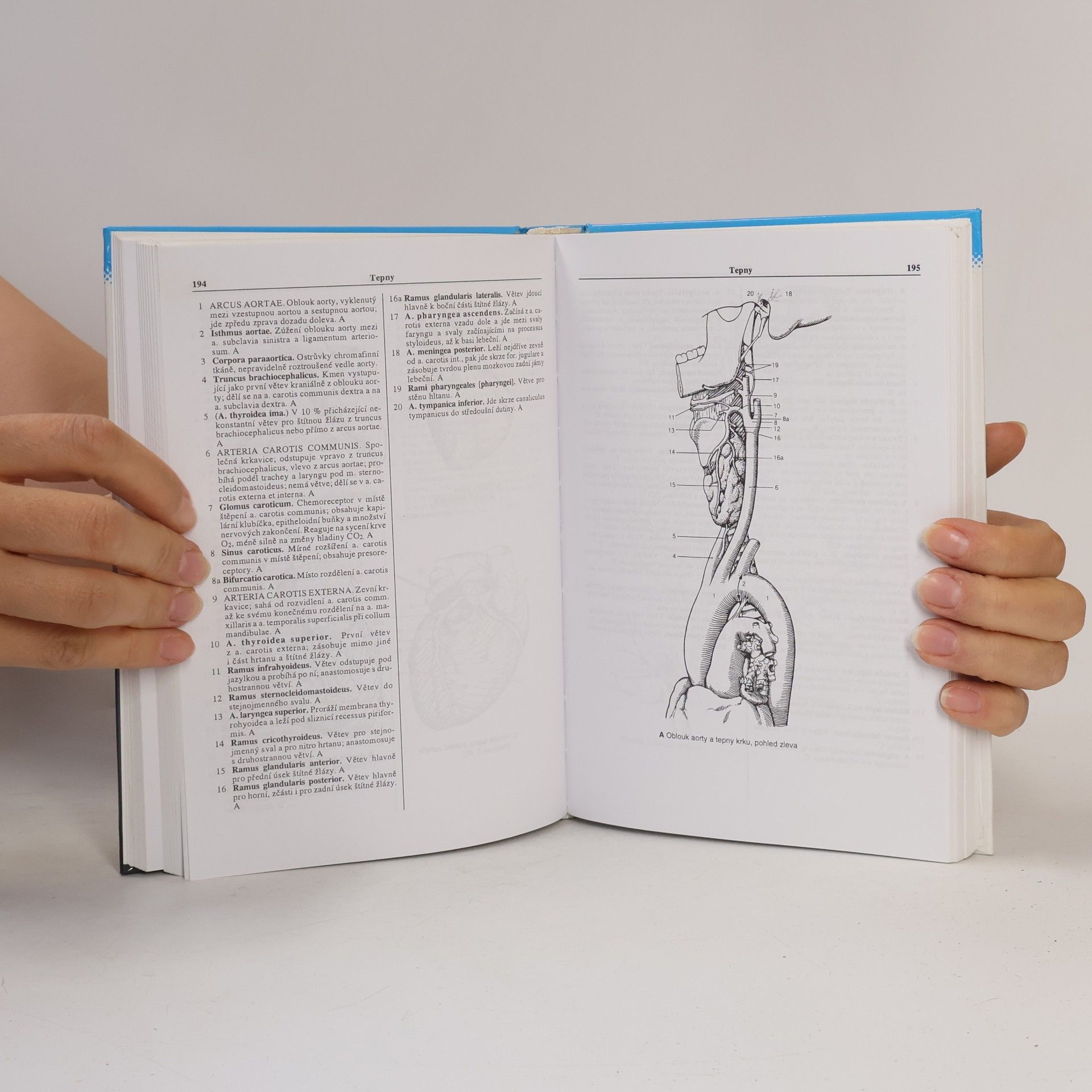 Heinz Feneis Anatomický obrazový slovník