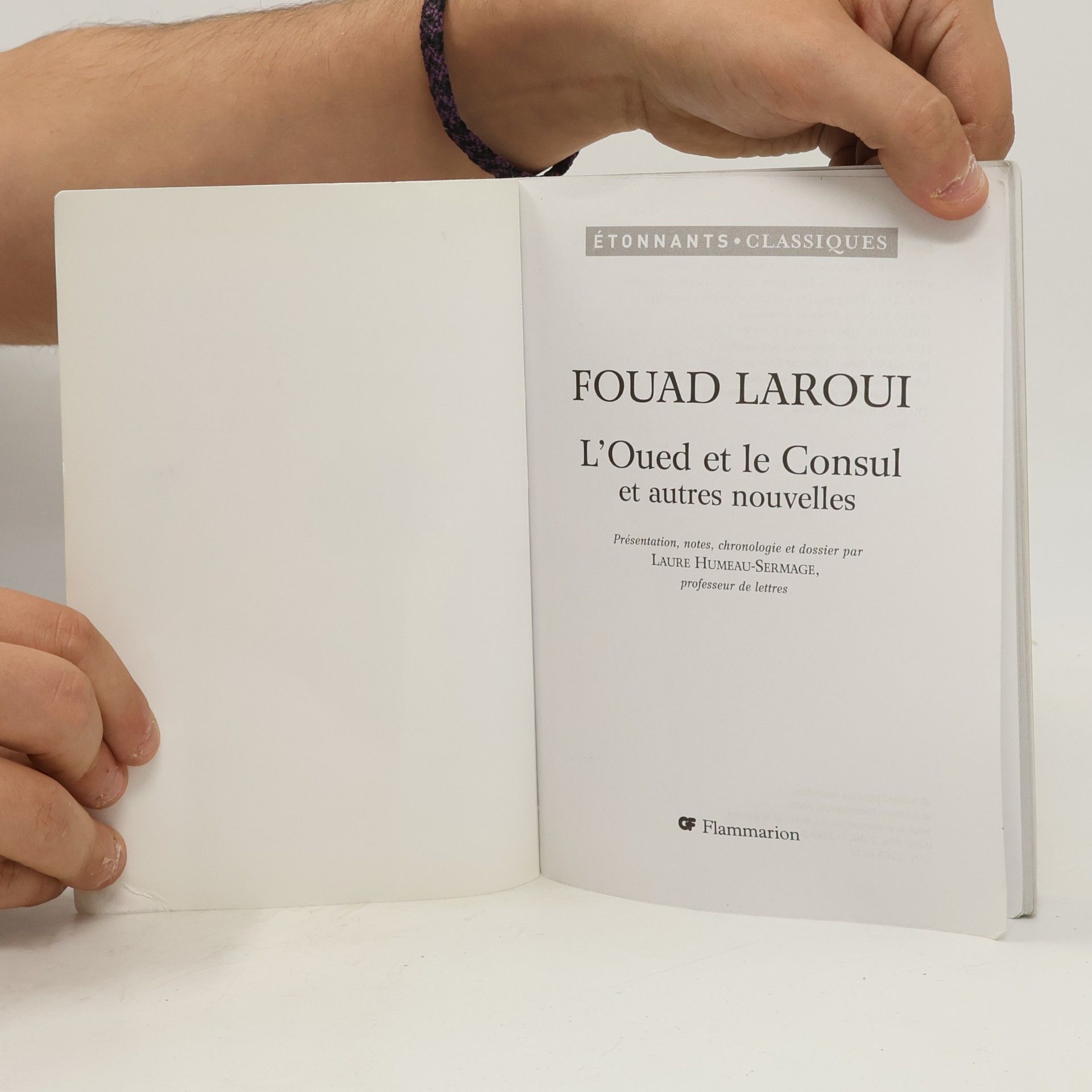 Fouad Laroui L'Oued et le consul et autres nouvelles