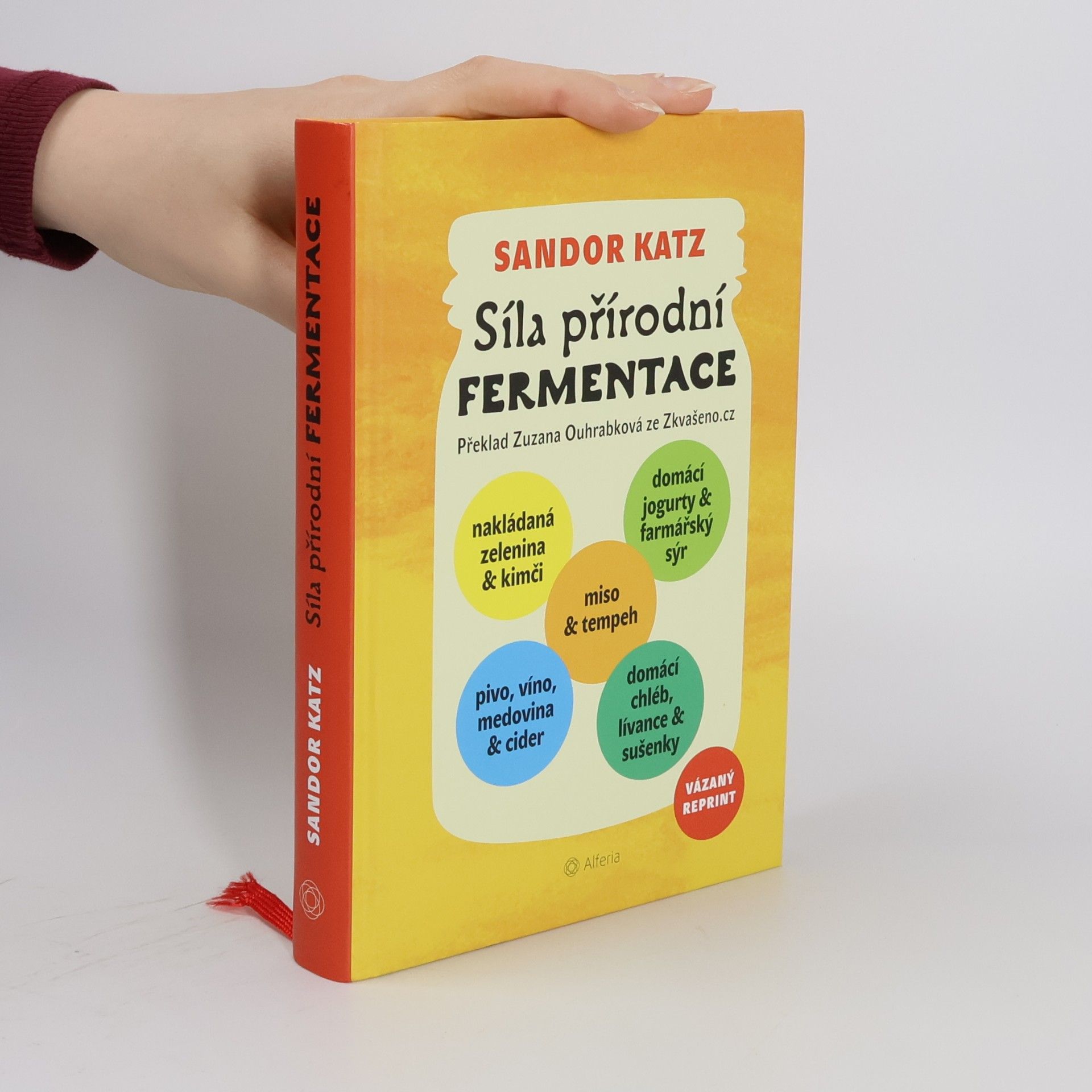 Sandor Ellix Katz Síla přírodní fermentace