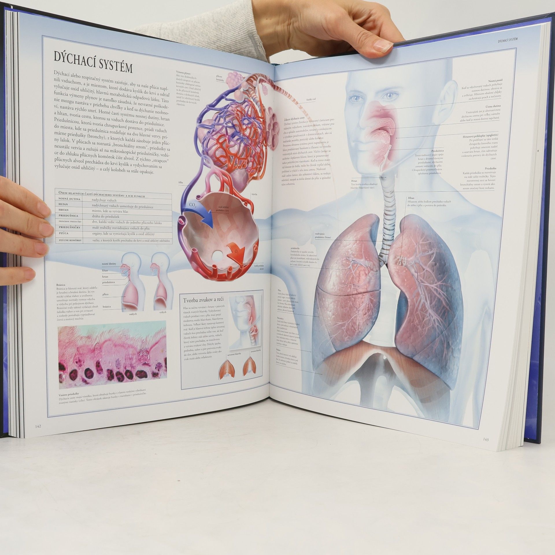 Beverly McMillan Veľký ilustrovaný atlas ľudského tela