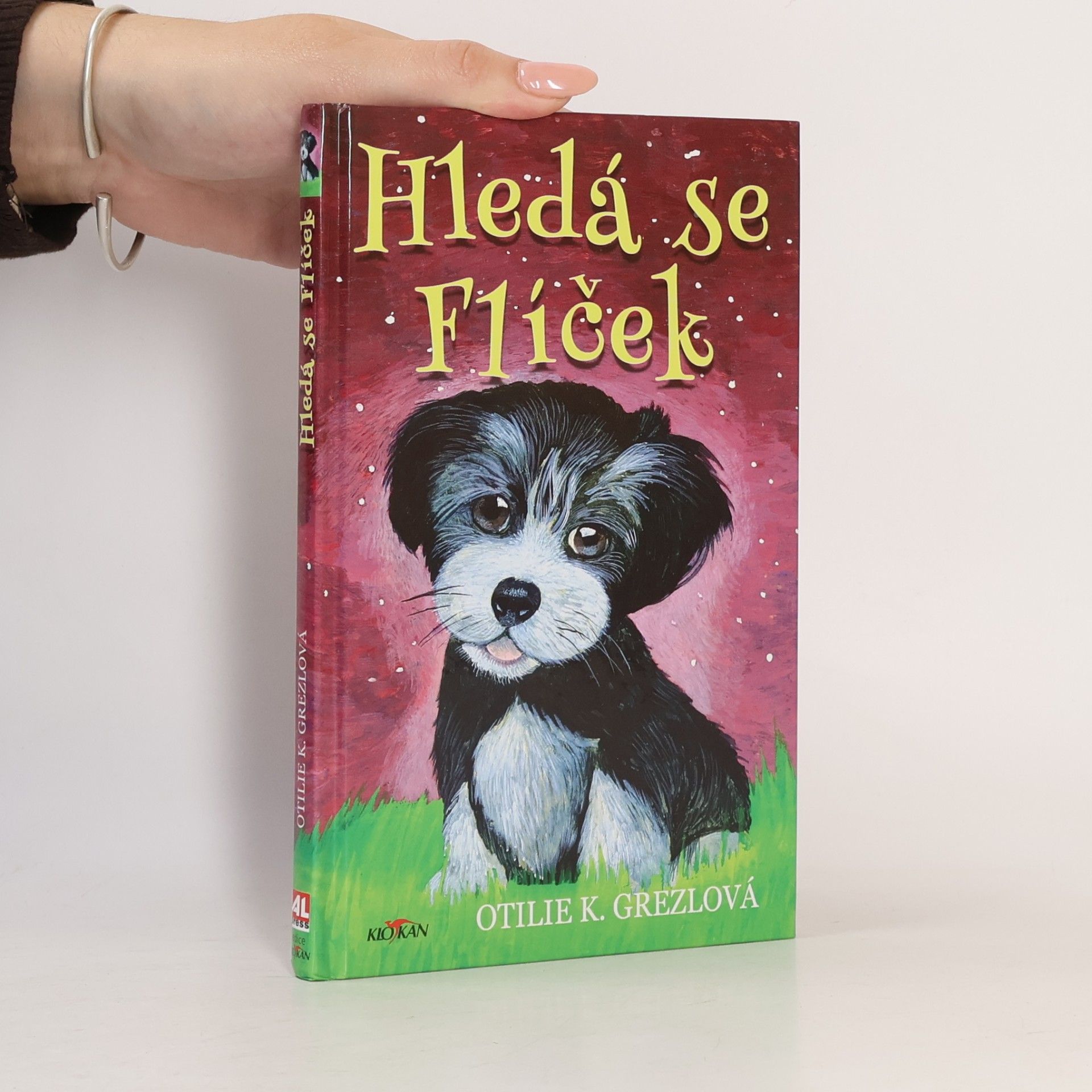 Hledá se Flíček
