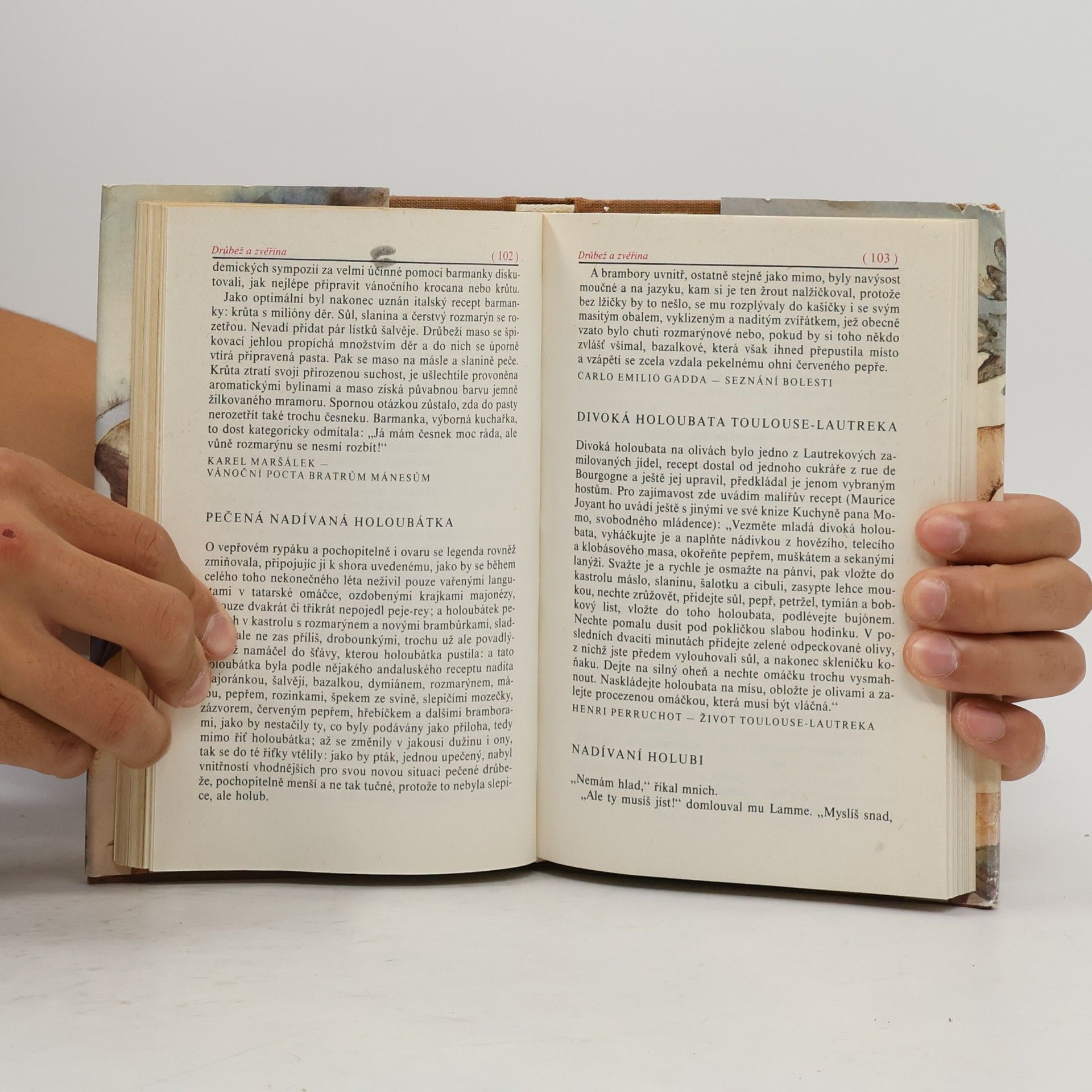 Jaroslava Jiskrová Kuchařské recepty vypsané z krásné literatury