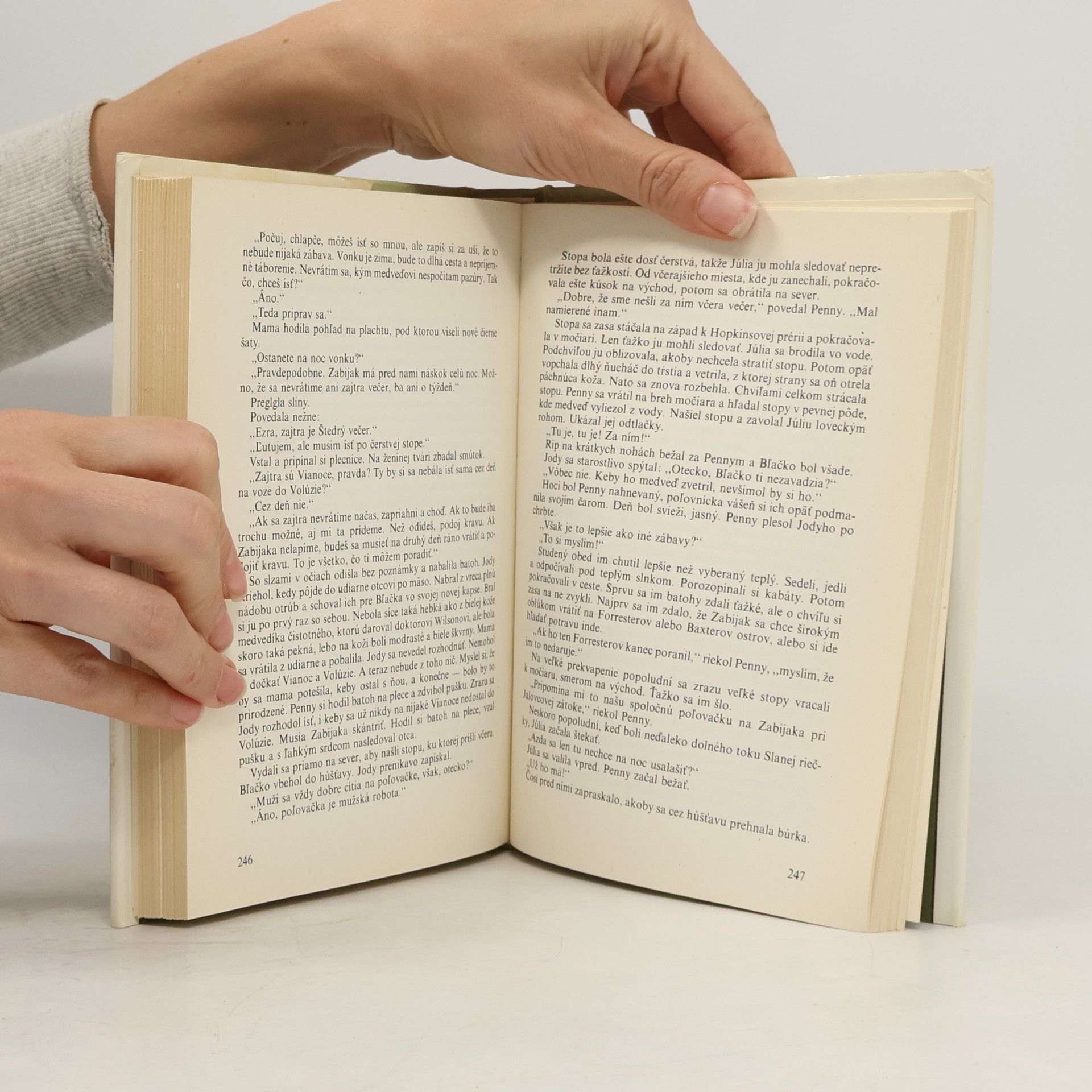 Marjorie Kinnan Rawlings Dieťa divočiny