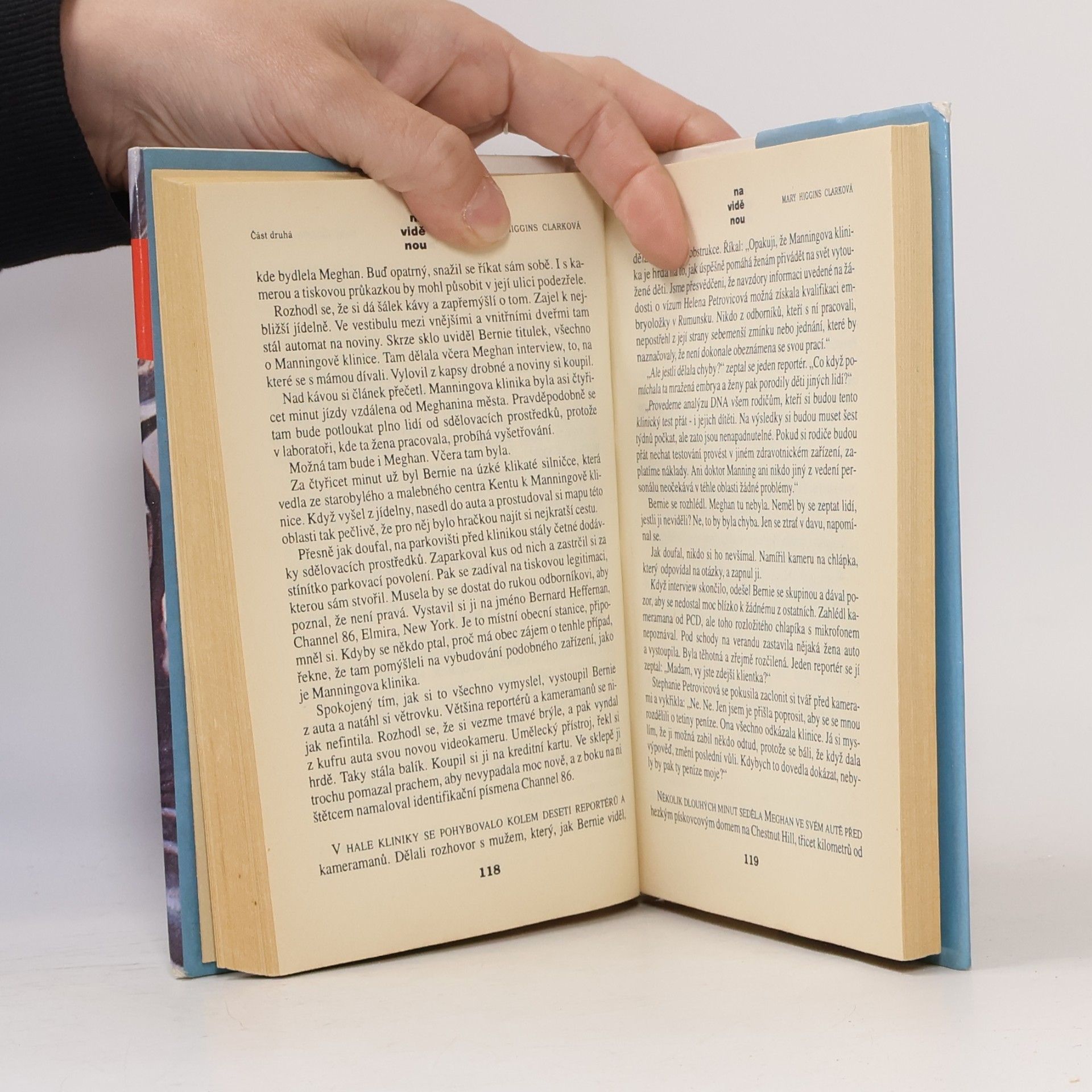 Mary Higgins Clark Na viděnou