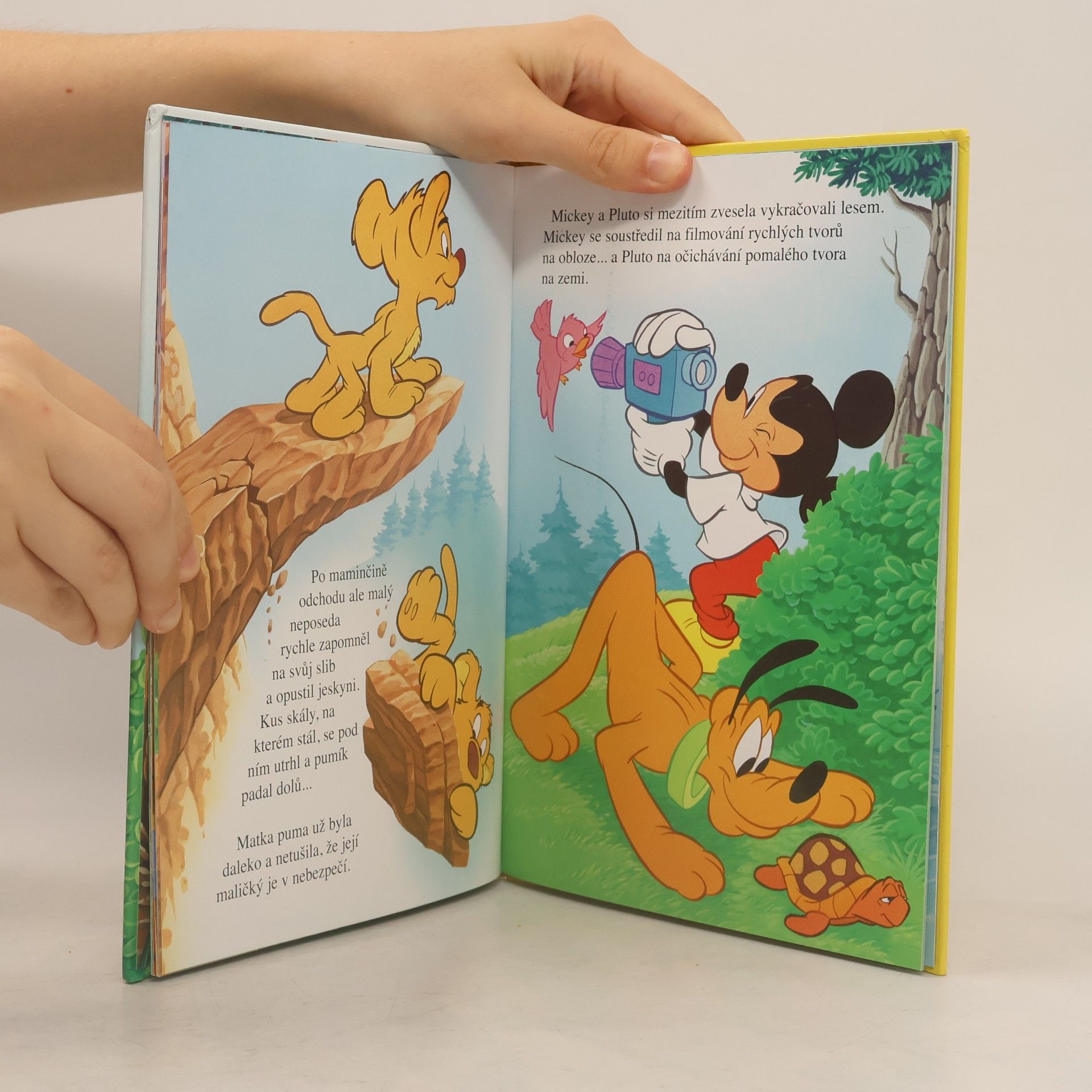 Walt Disney Mickey a Pluto na horách