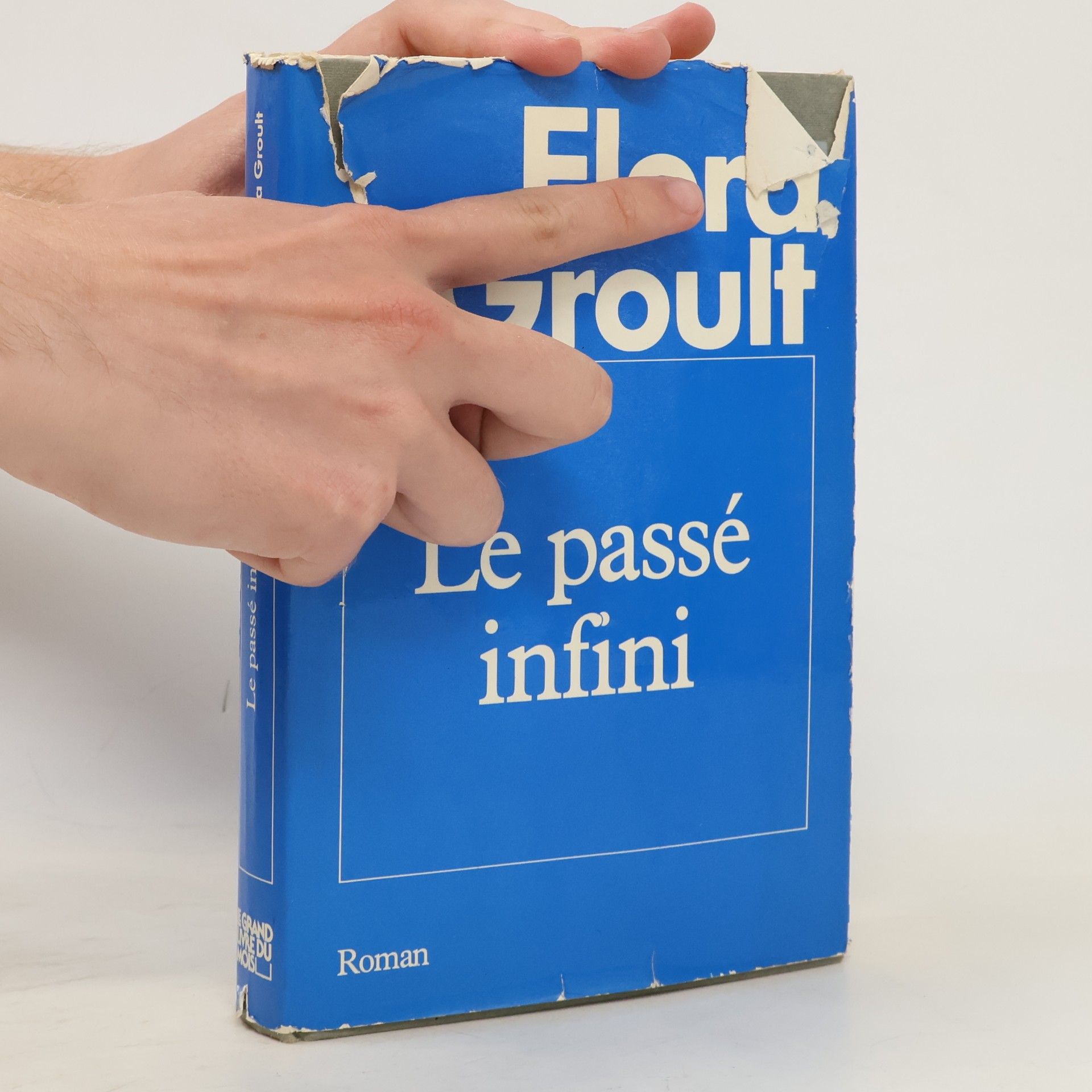 Flora Groult Le passé infini