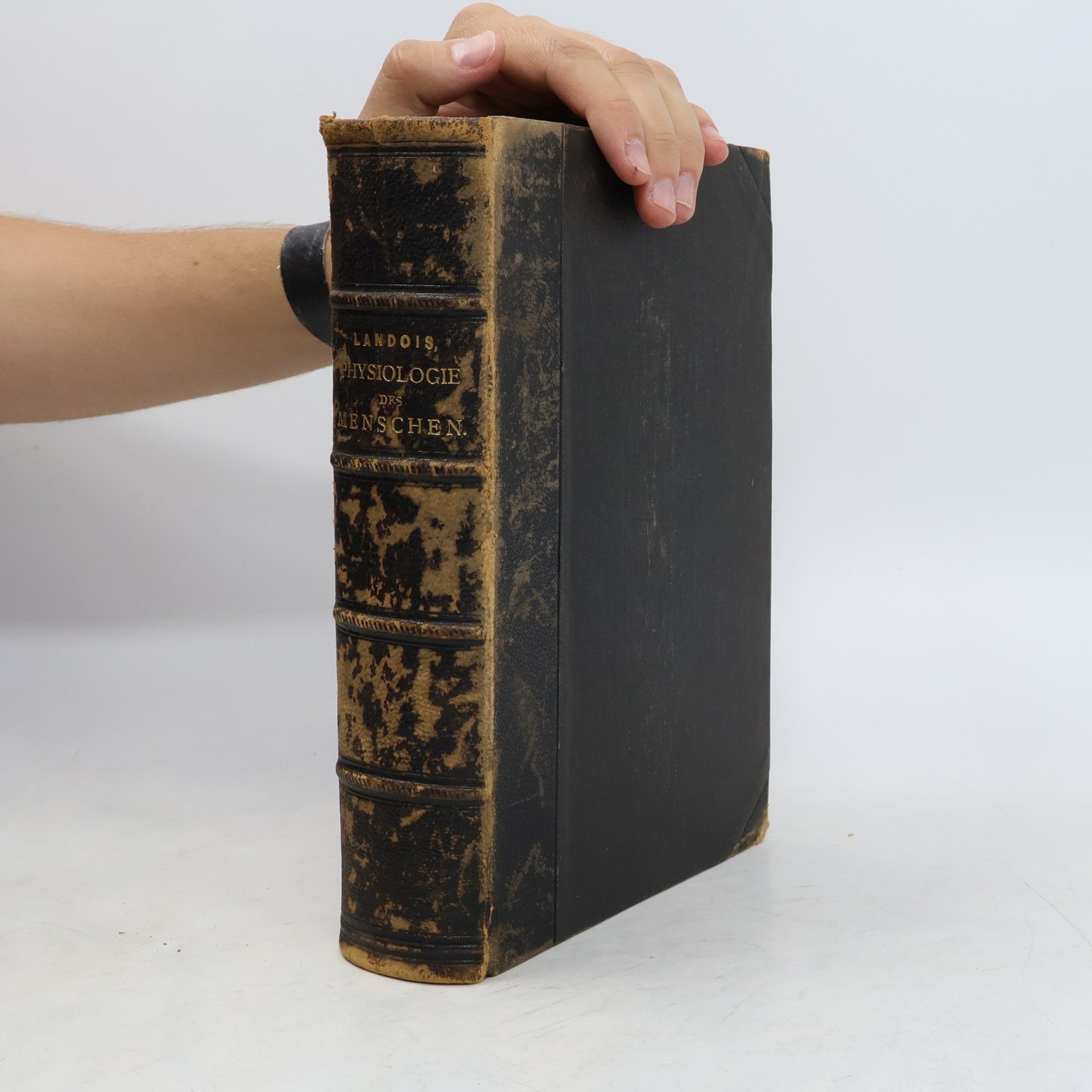 Leonard Landois Lehrbuch der Physiologie des Menschen