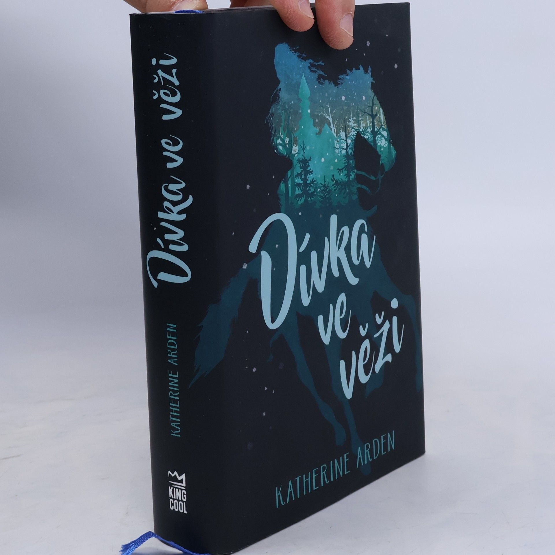 Katherine Arden Dívka ve věži