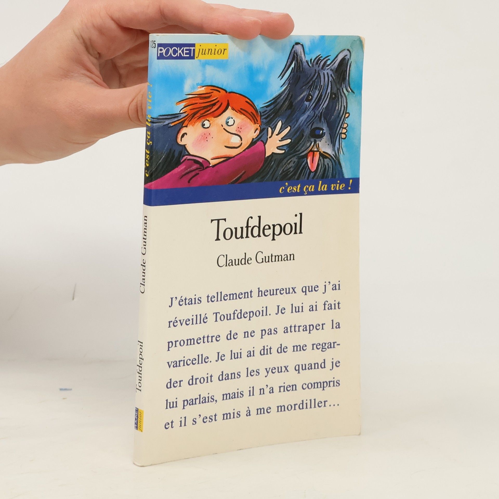 Toufdepoil