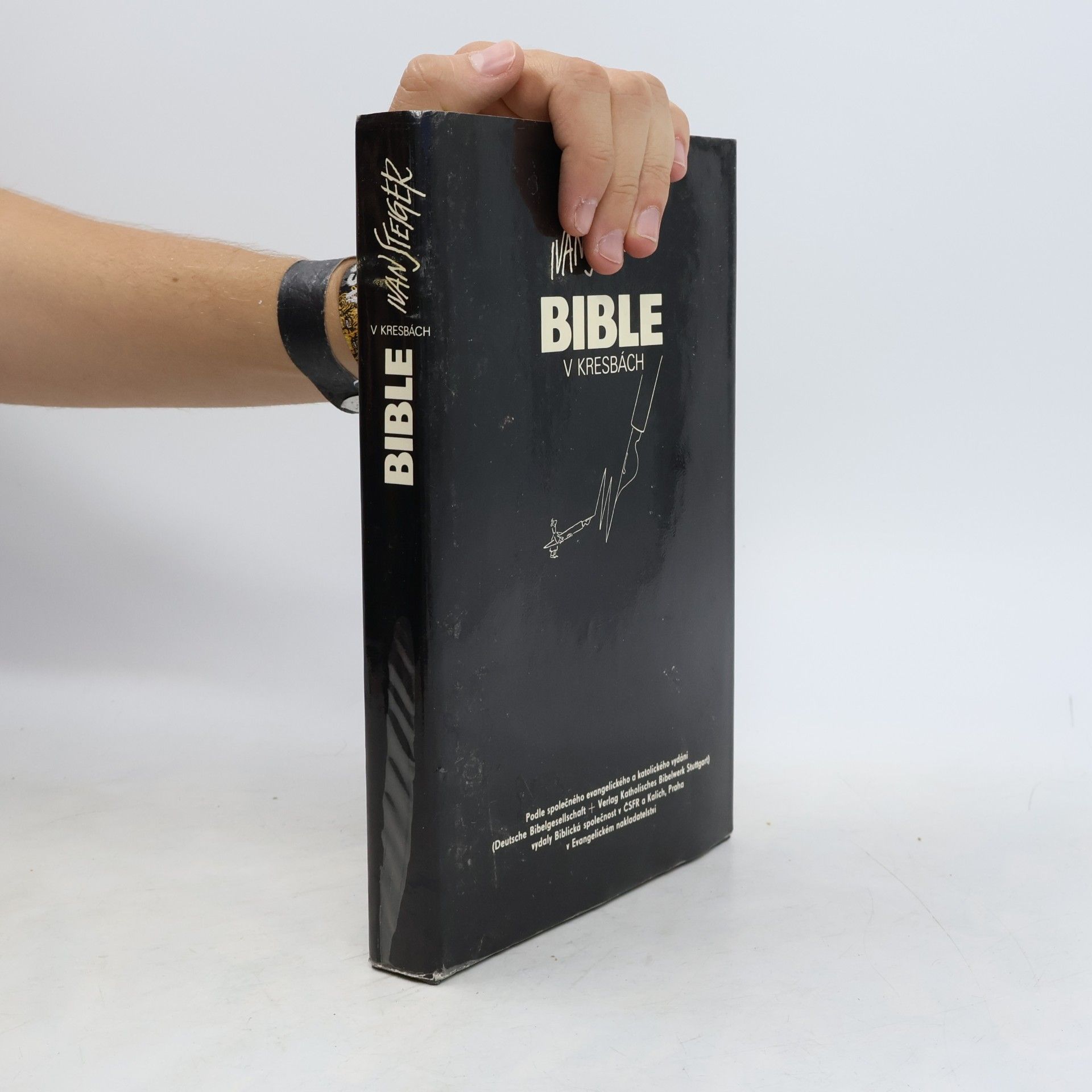 Bible v kresbách