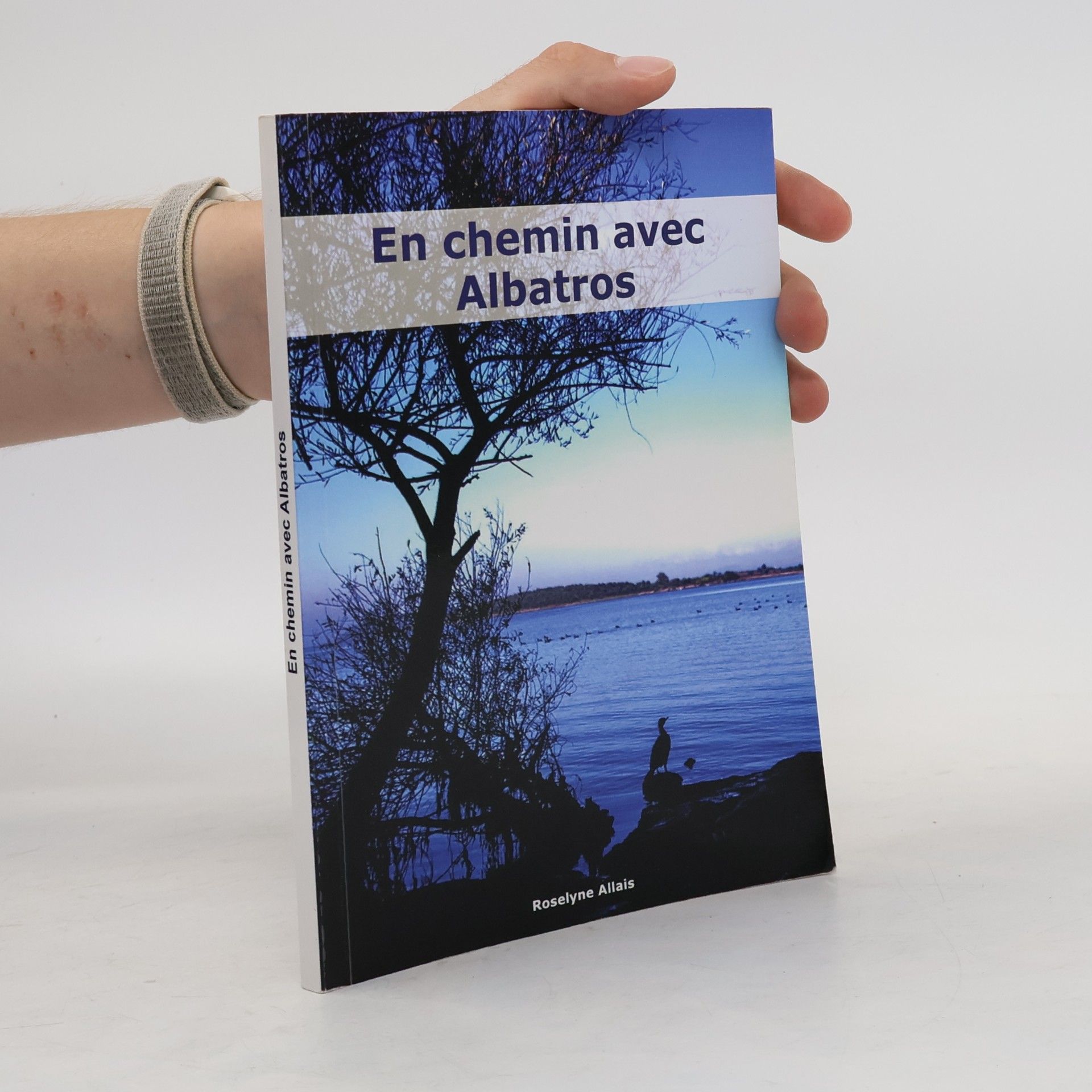 Roselyne Allais En chemin avec Albatros