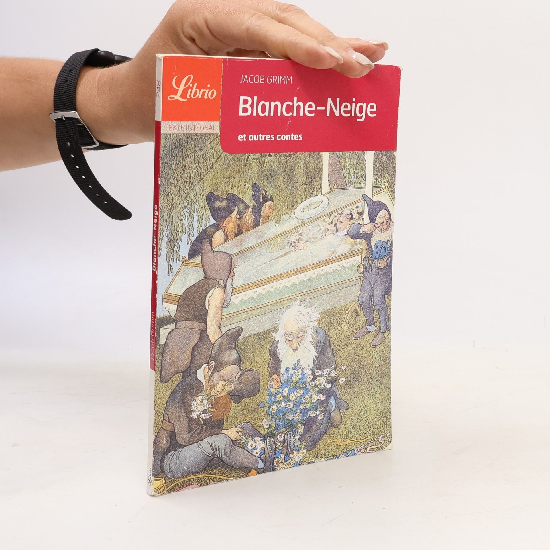 Jacob Ludwig Karl Grimm Librio - 248: Blanche-Neige et autres contes - Texte intégral