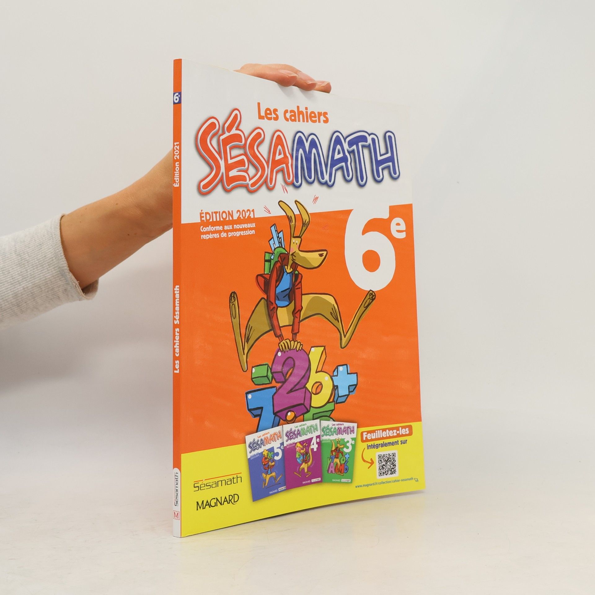 AA.VV. Les cahiers Sésamath 6