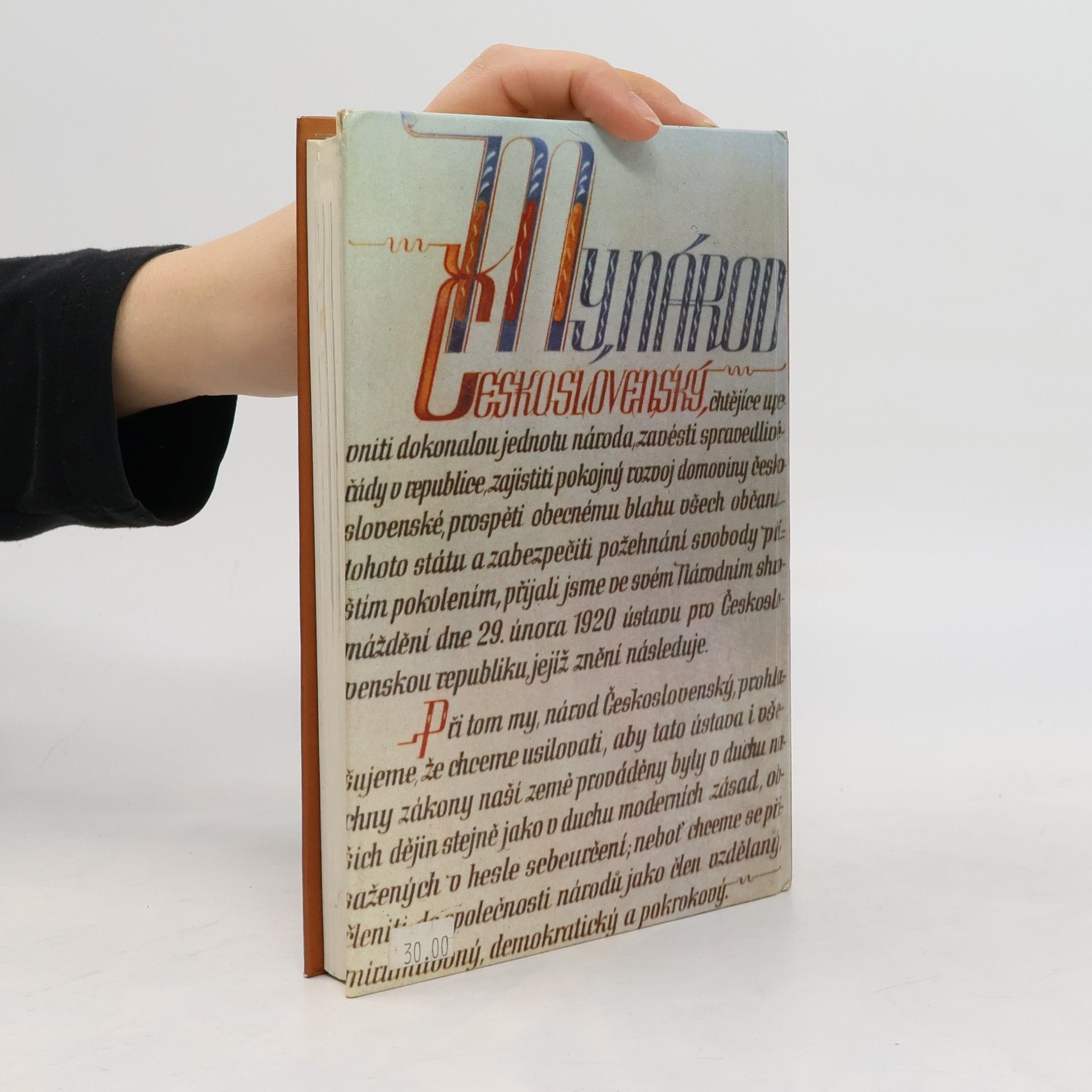 Kolektiv autorů Dějiny zemí koruny české II.