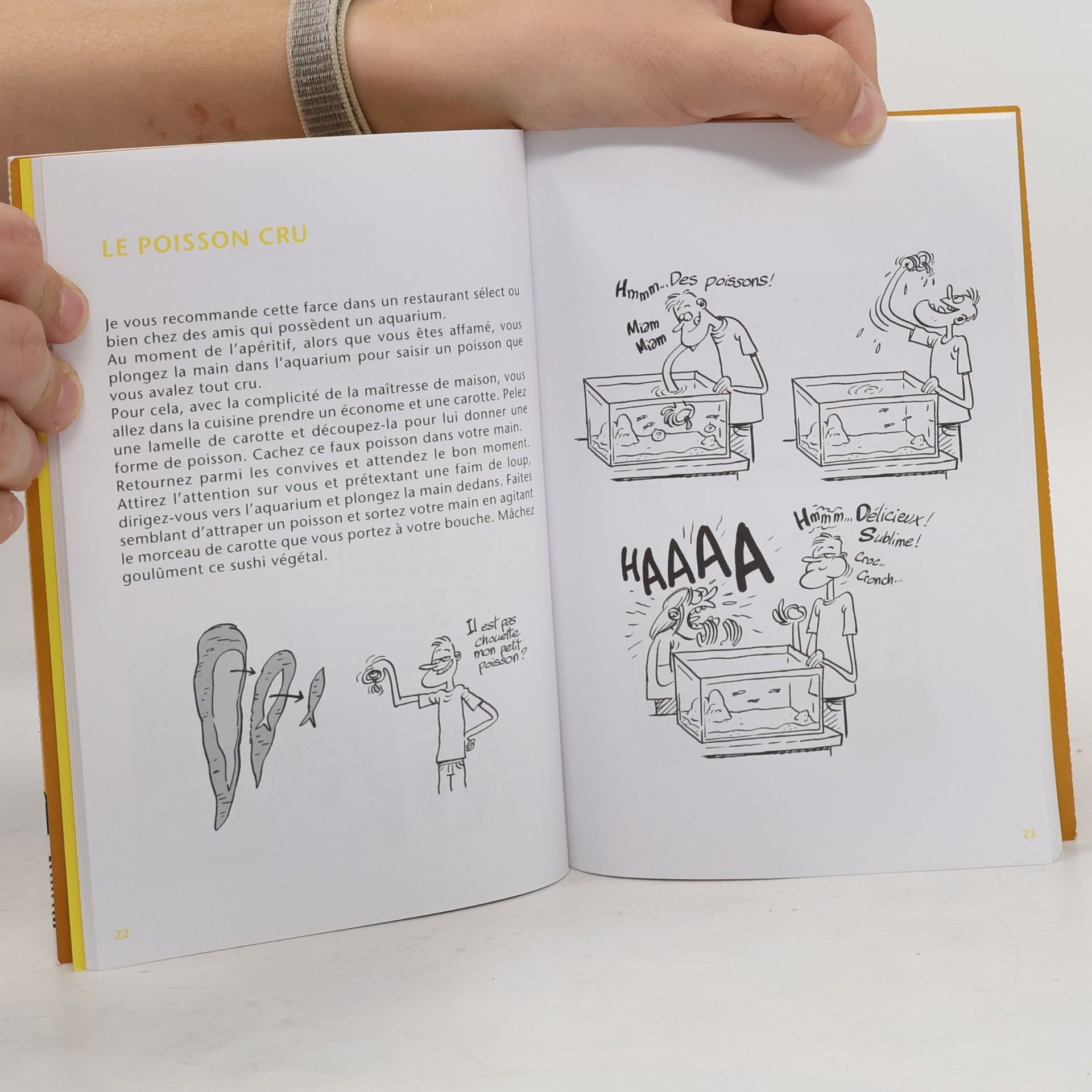 Sylvain Mirouf Magie et astuces pour faire des farces