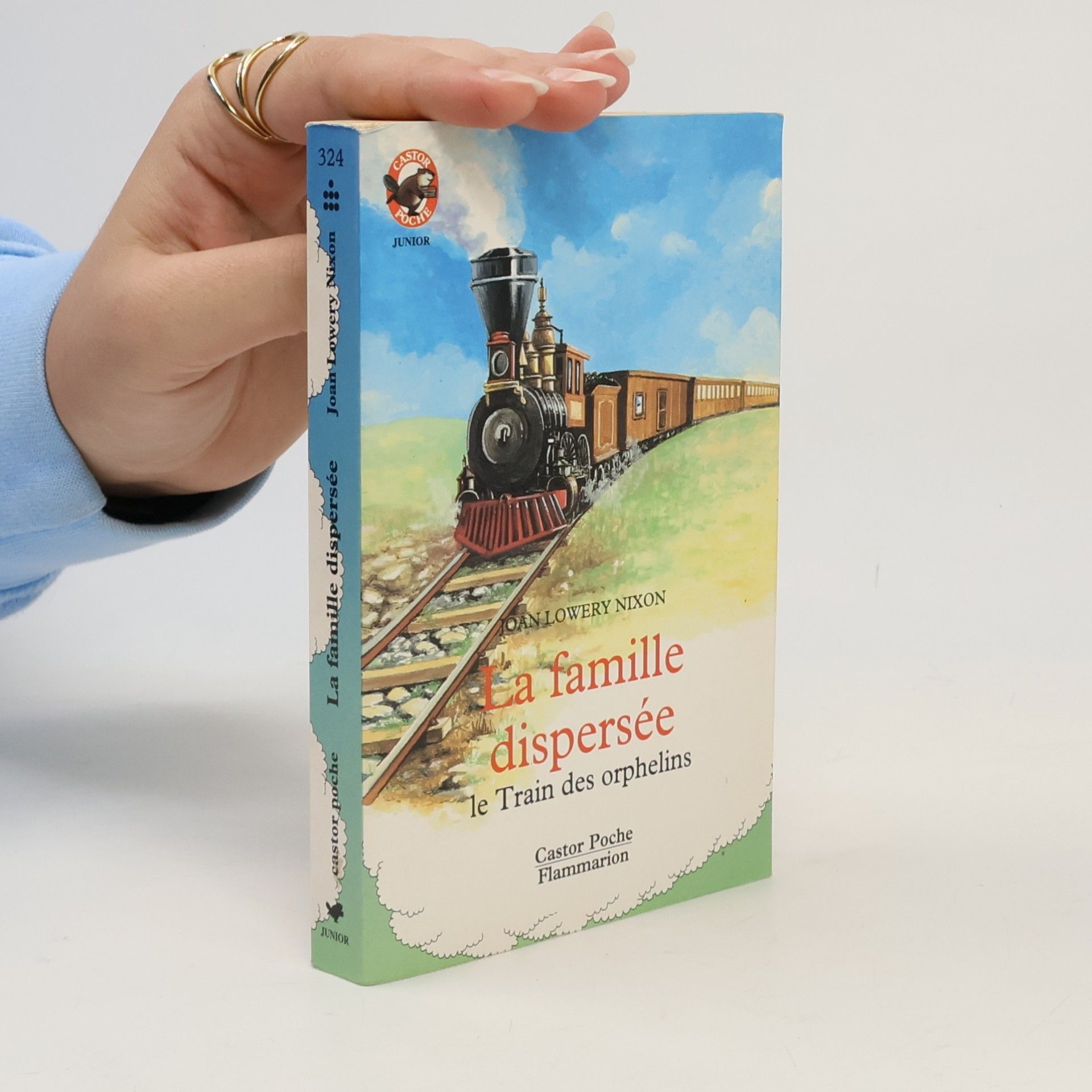 Joan Lowery Nixon Castor Poche Junior: La famille dispersée - Le train des orphelins