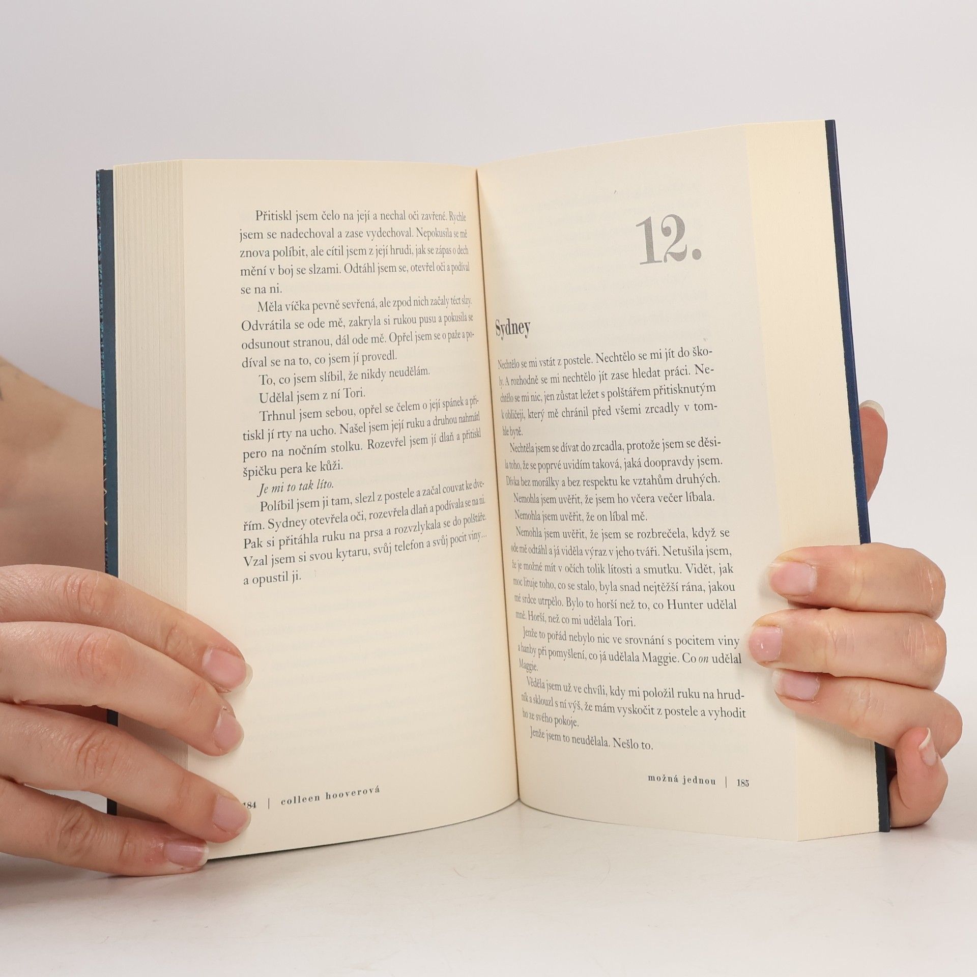Colleen Hoover Možná jednou