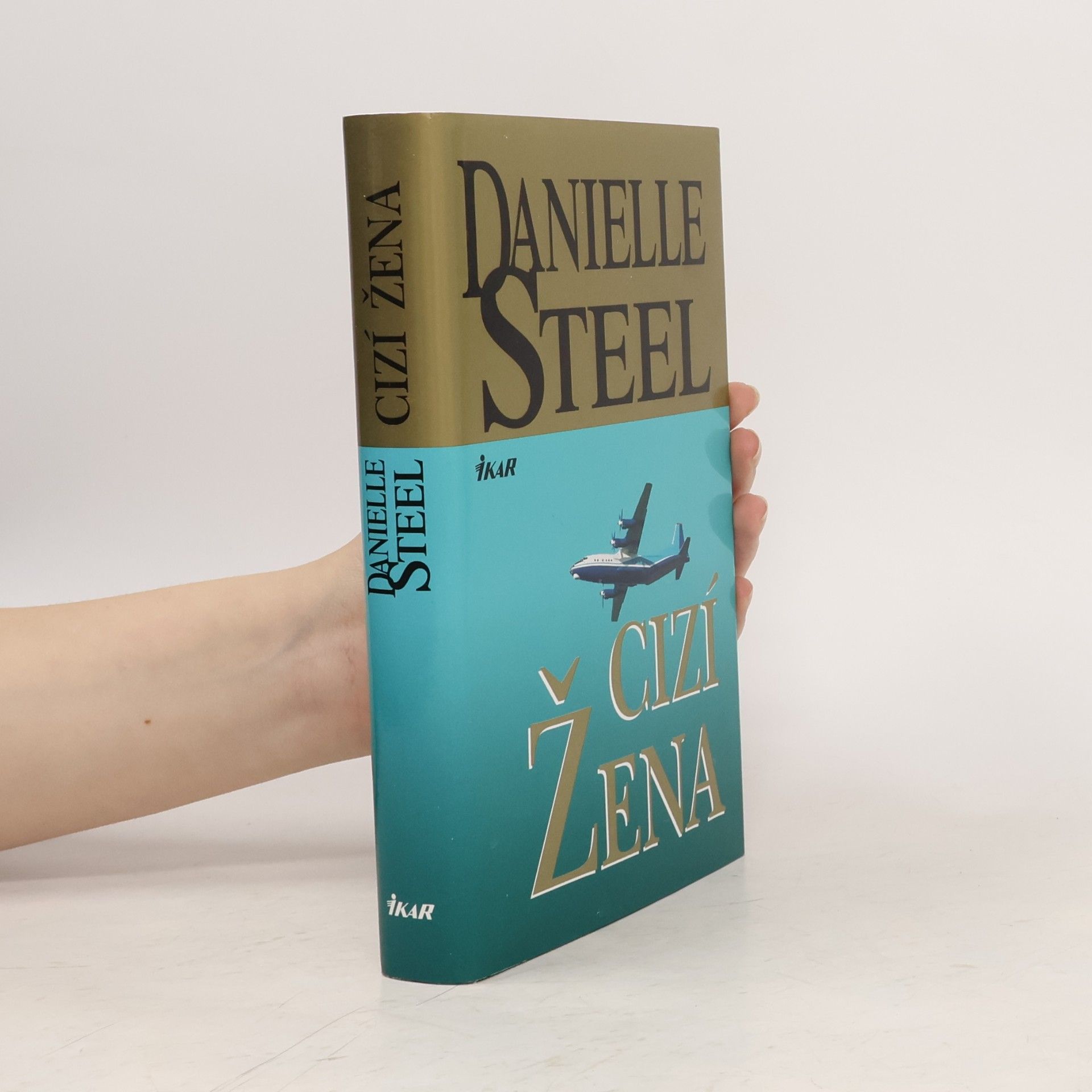 Danielle Steel Cizí žena
