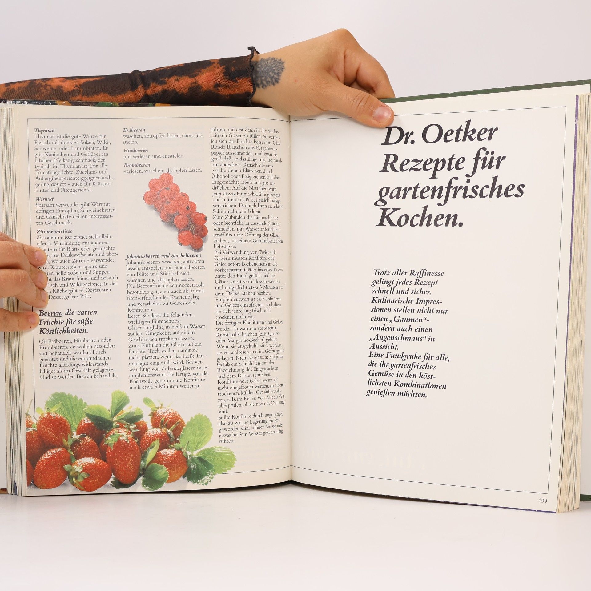 Autorenkollektiv Garten frische Küche