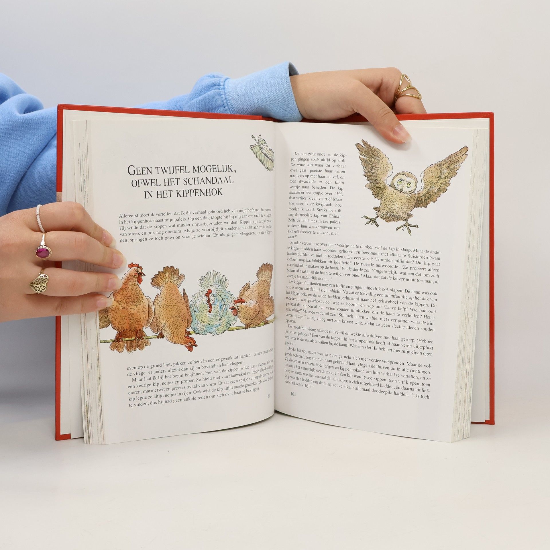 Hans Christian Andersen De sprookjes van Andersen