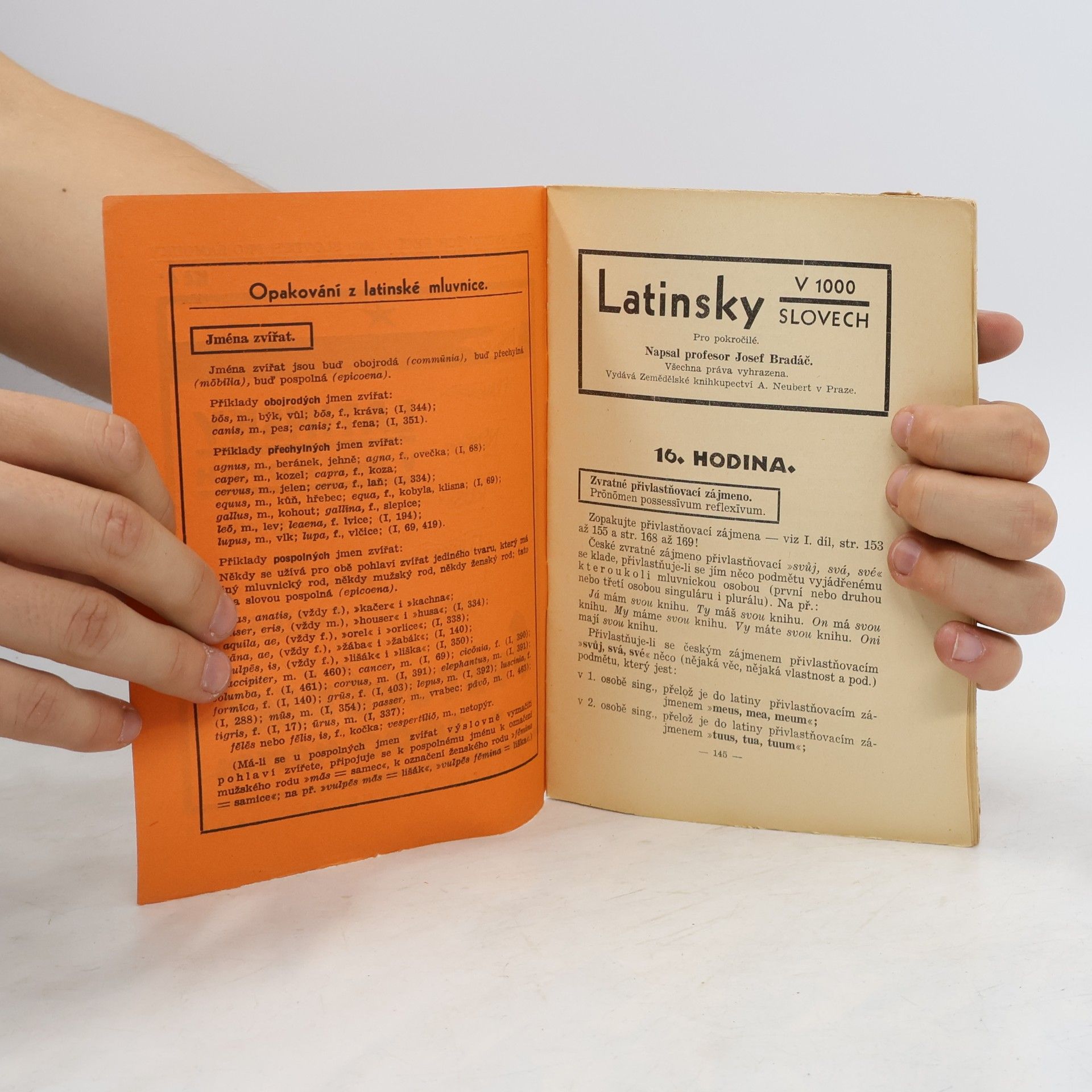 Josef Bradáč Latinsky v 1000 slovech. Sešit 4
