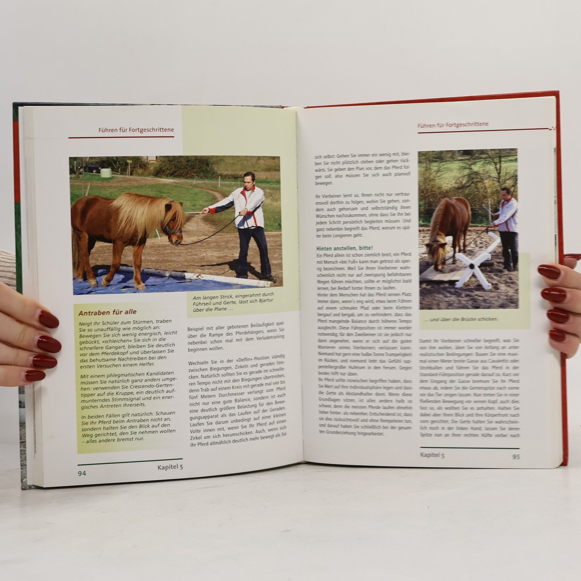 Christa Arz Bodenarbeit. Pferdetraining an der Hand