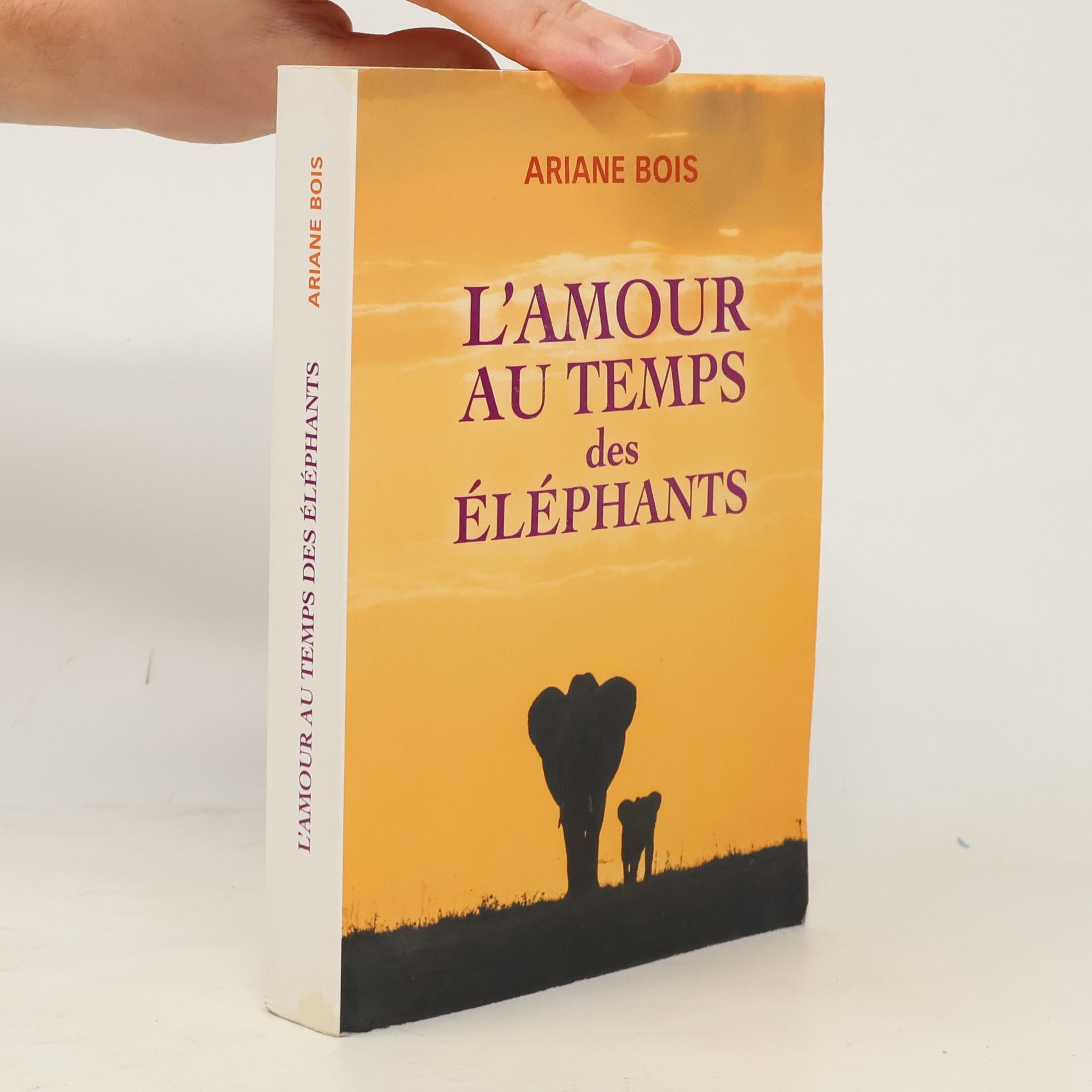 L'amour au temps des éléphants