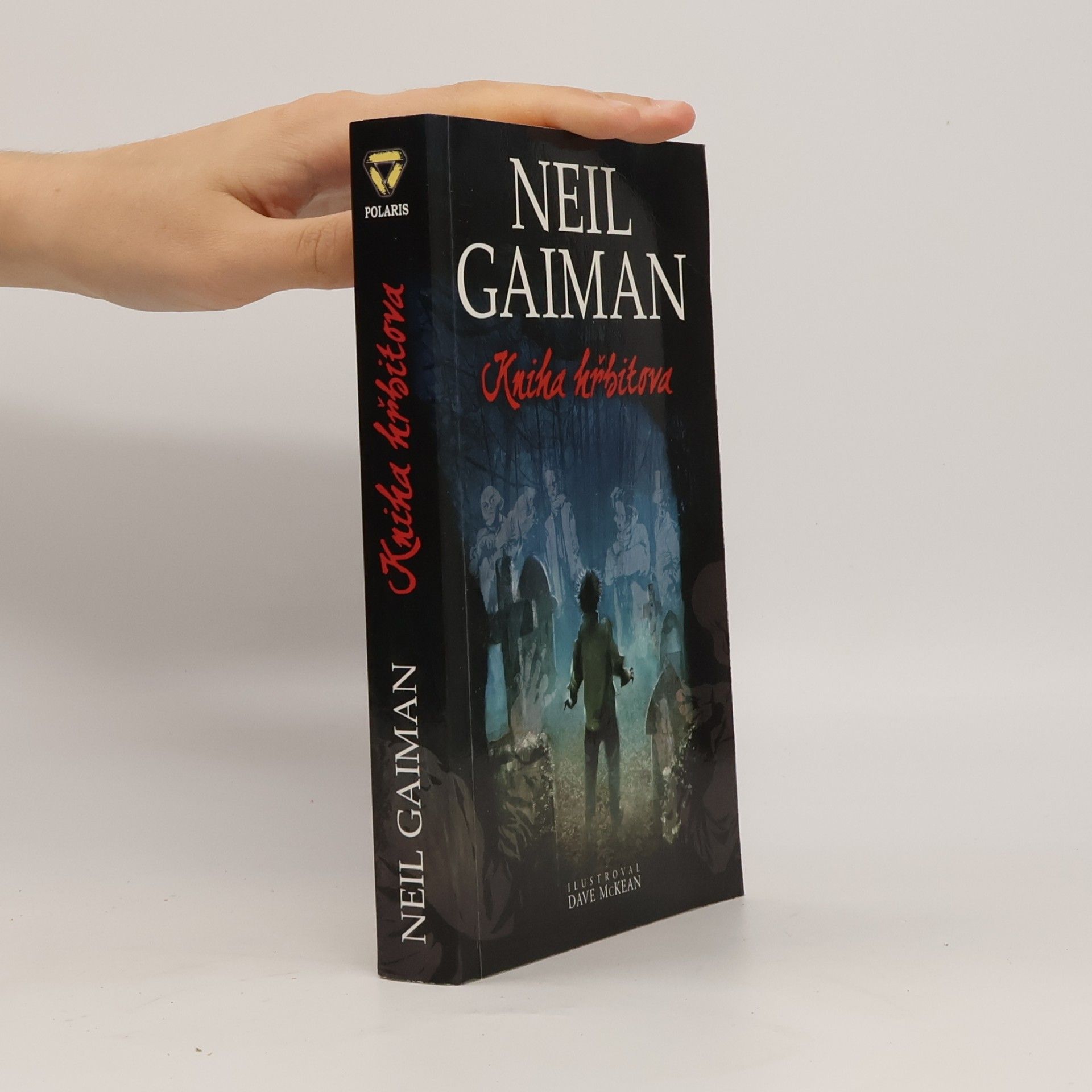 Neil Gaiman Kniha hřbitova