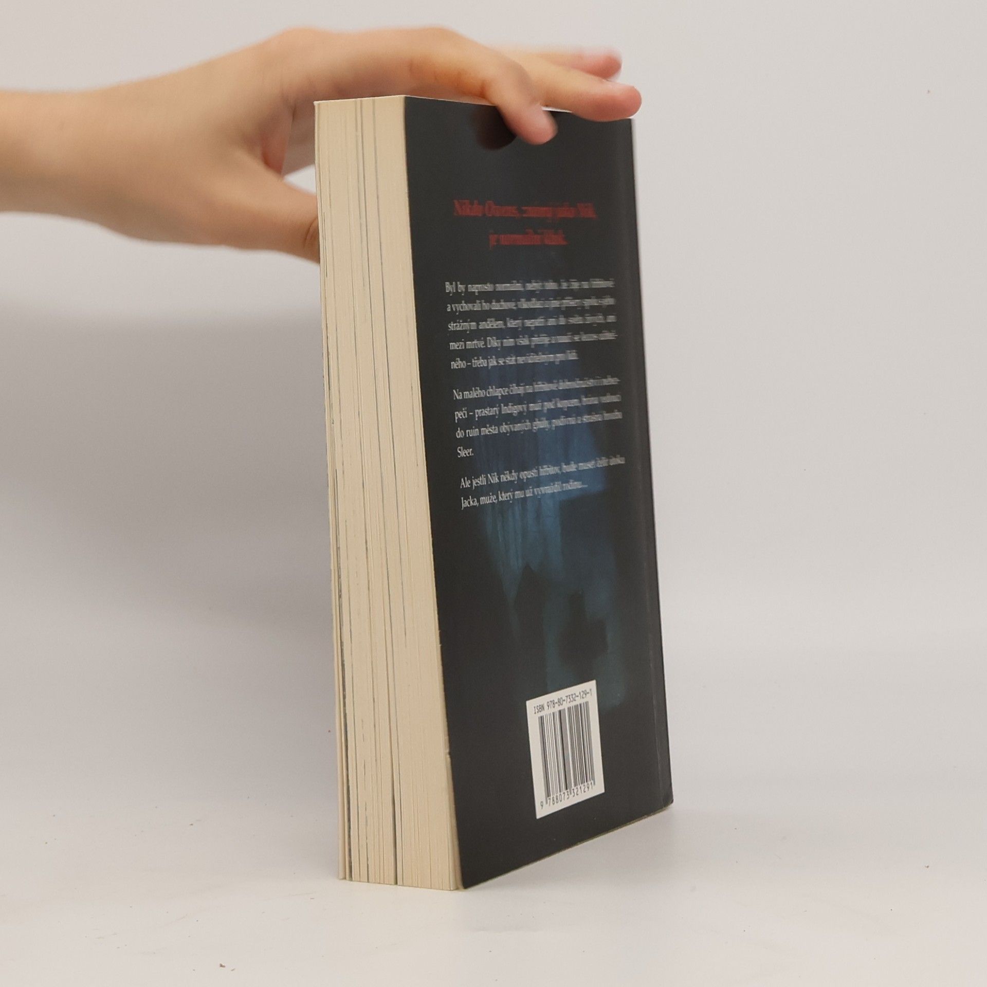 Neil Gaiman Kniha hřbitova