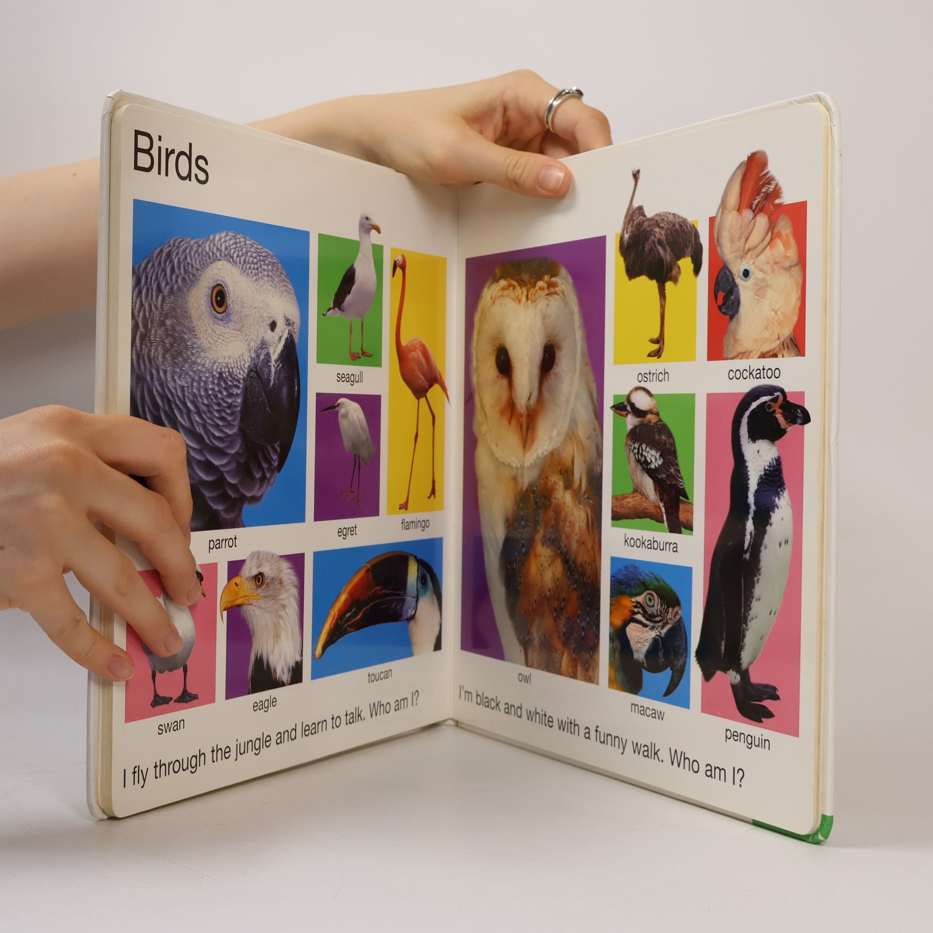 Roger Priddy My Big Animal Book