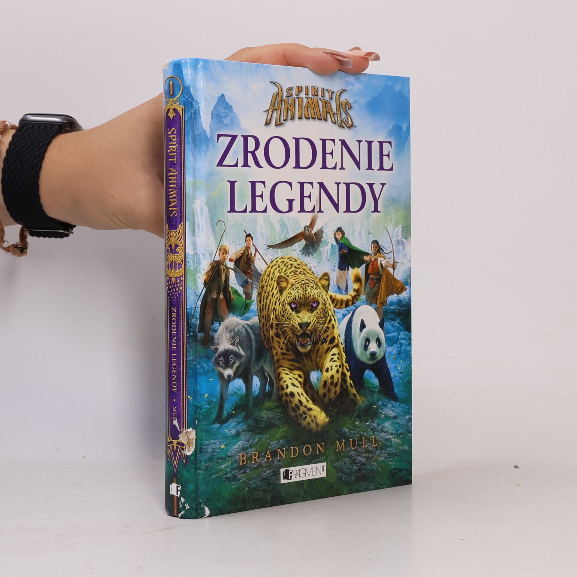 Brandon Mull Zrodenie legendy