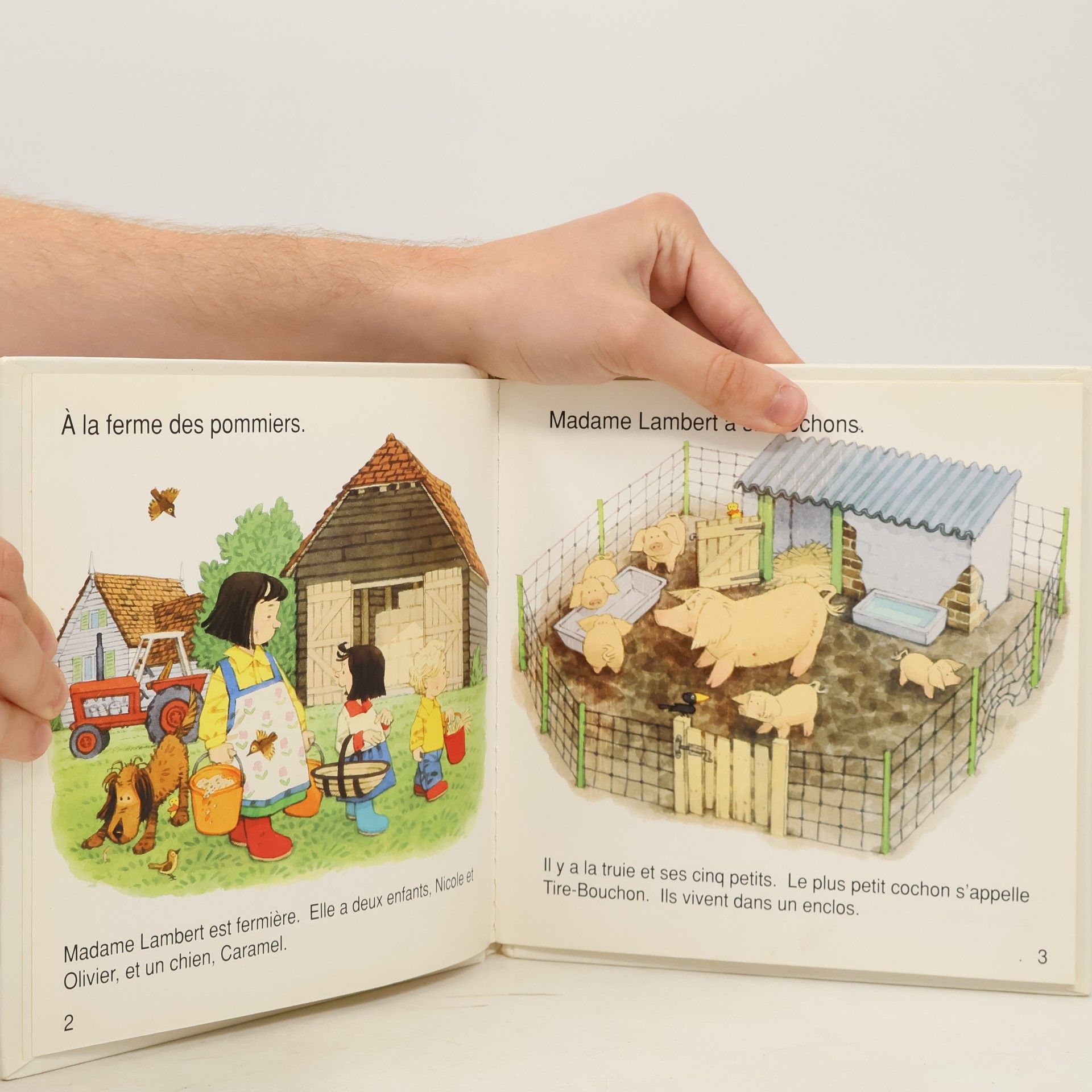 Heather Amery Les contes de la ferme: Petit cochon s'est perdu