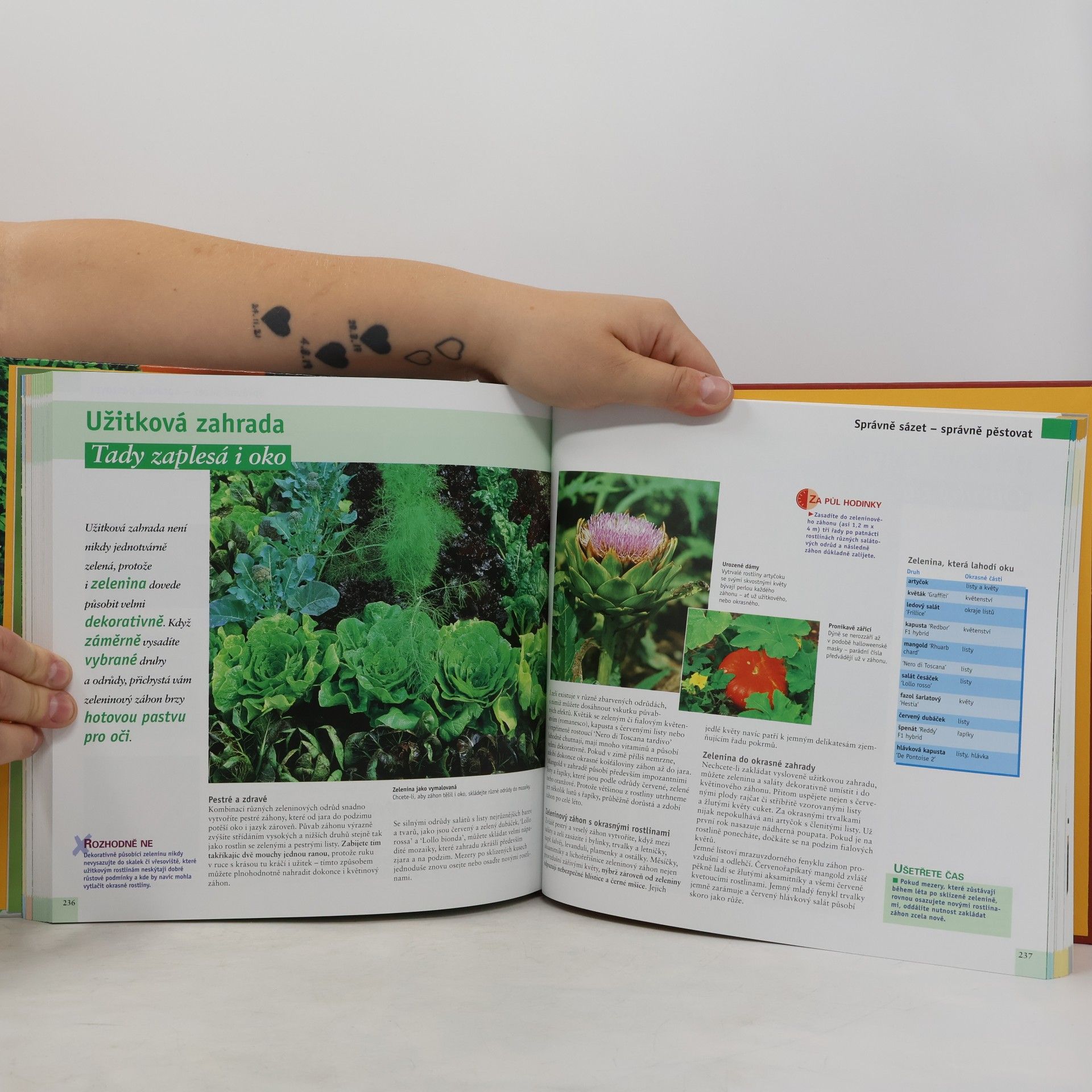 Autores varios Krásná nenáročná zahrada