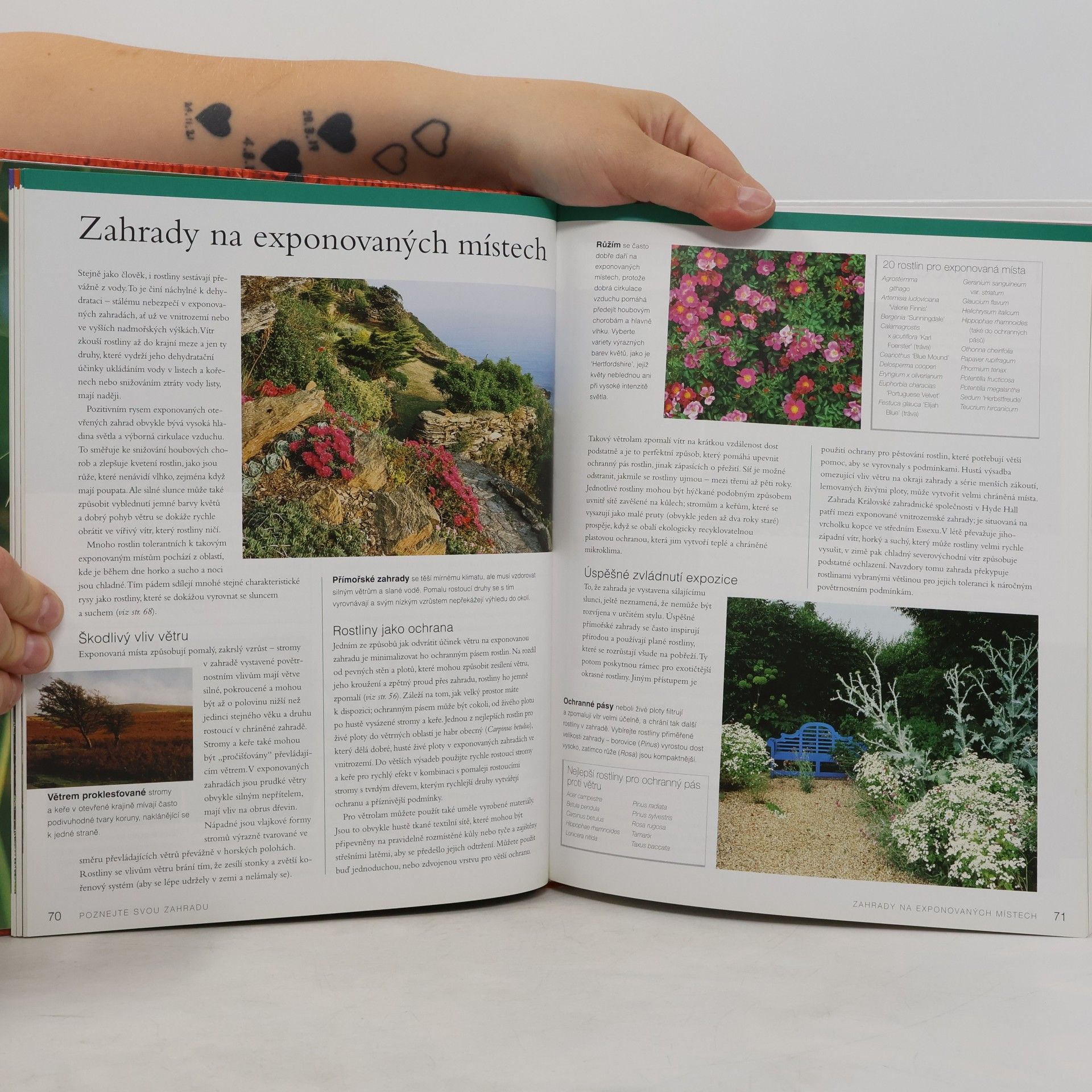 Guy Barter Naučte se zahradničit. Kompletní průvodce pro zahrádkáře