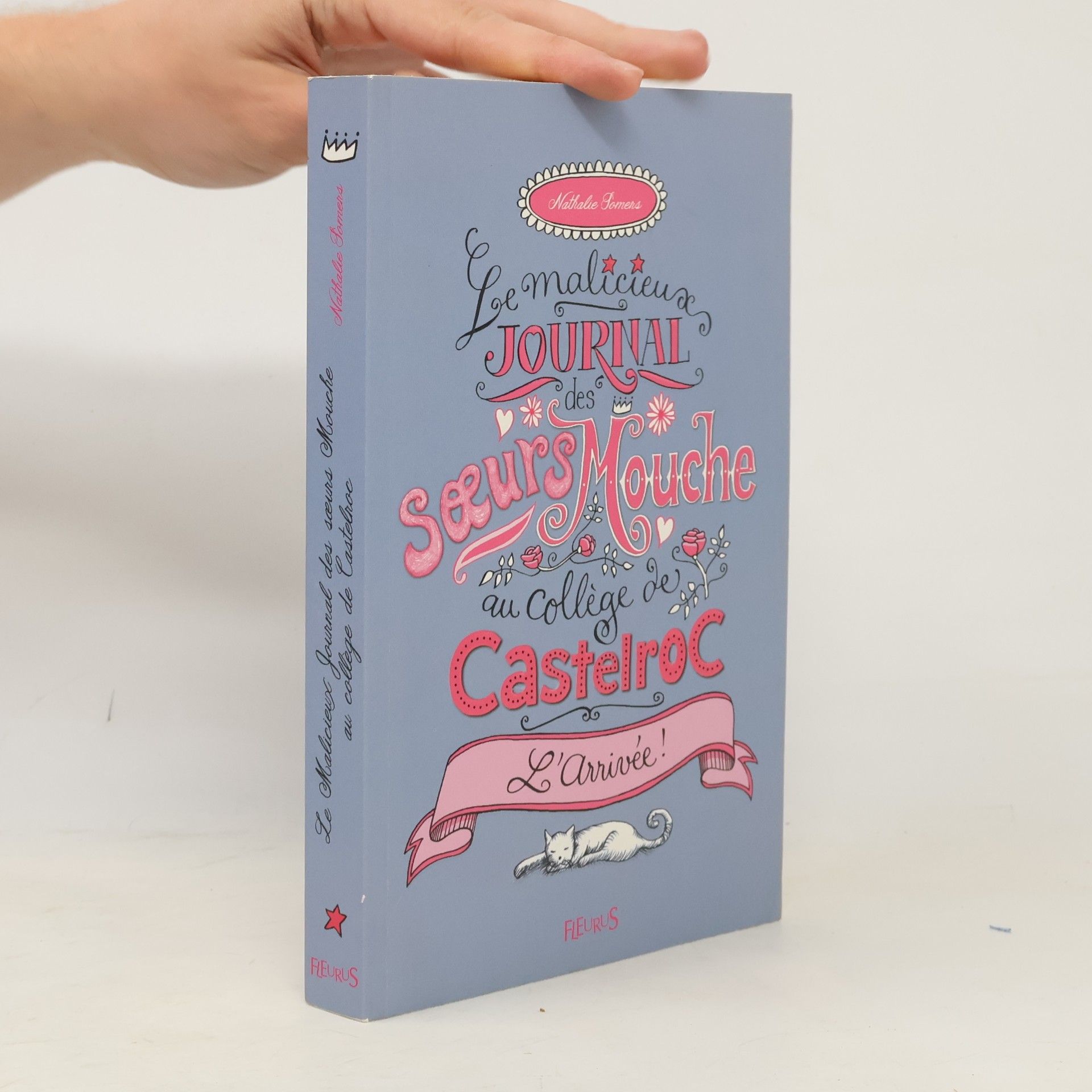 Le malicieux journal des soeurs Mouche au collège de Castelroc - 1: L'arrivée