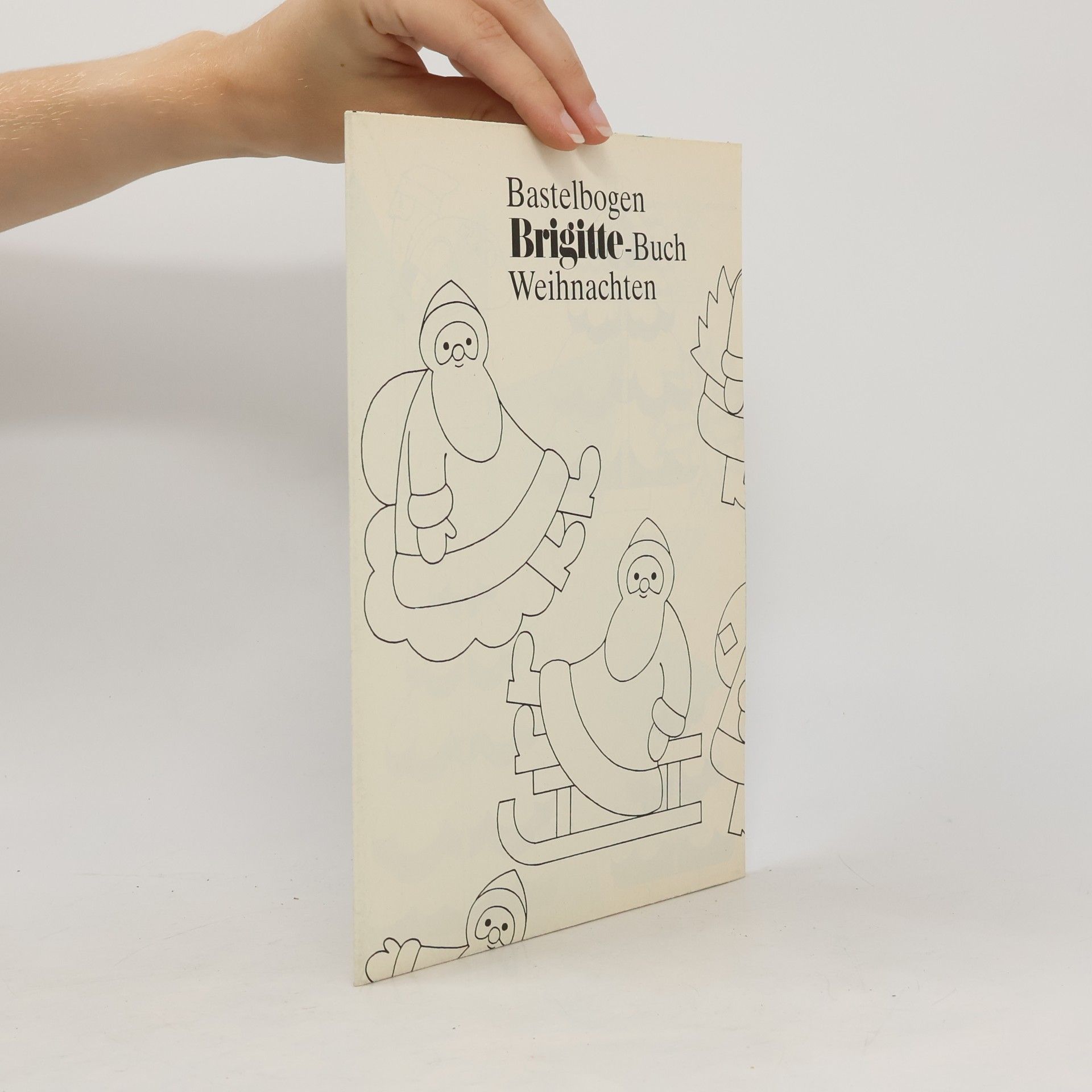 Barbara Rias-Bucher Brigitte, Das große Weihnachtsbuch