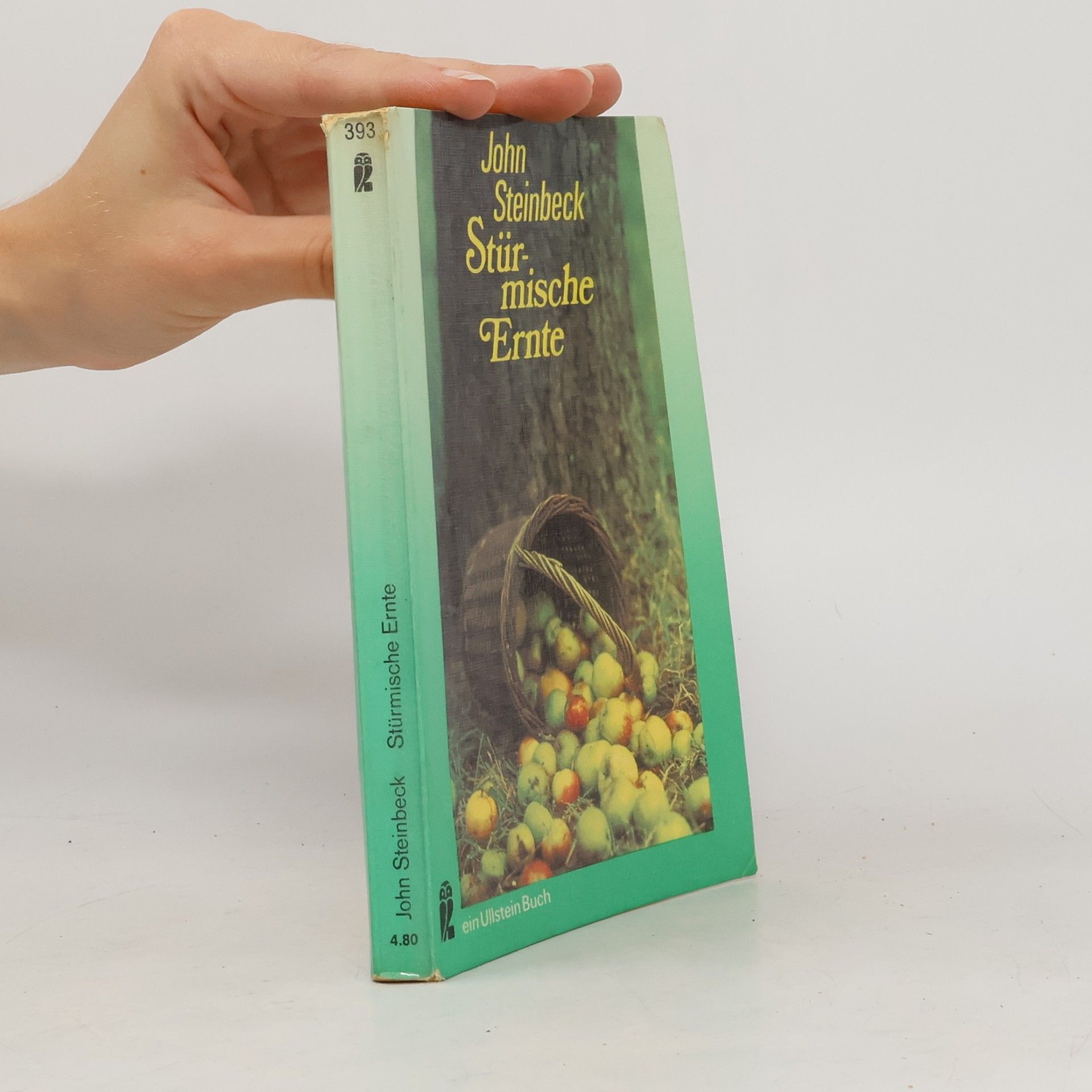John Steinbeck Stürmische Ernte