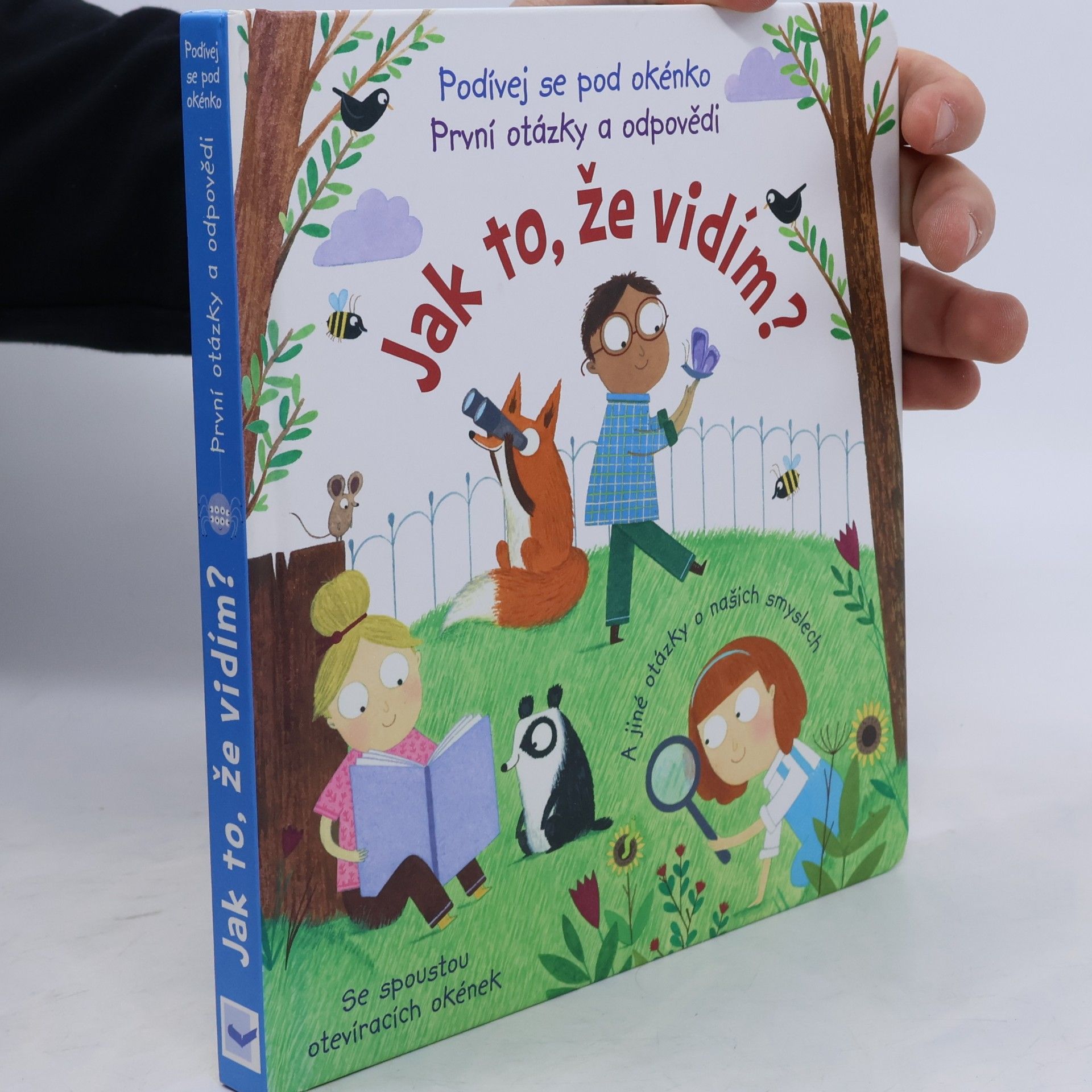 Katie Daynes Jak to, že vidím?