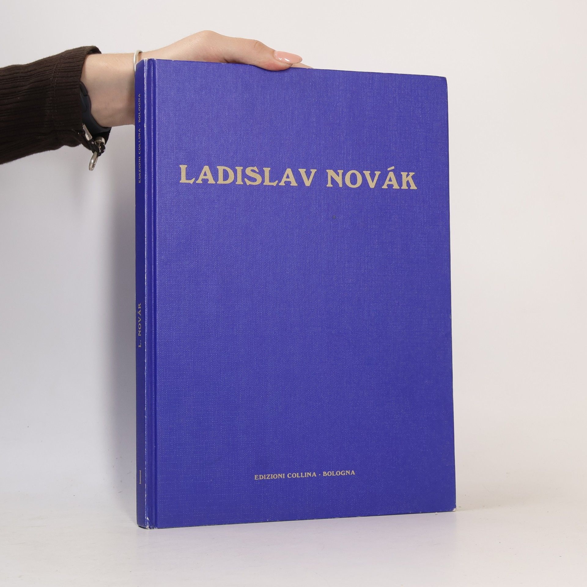 Enrico Crispolti Ladislav Novák