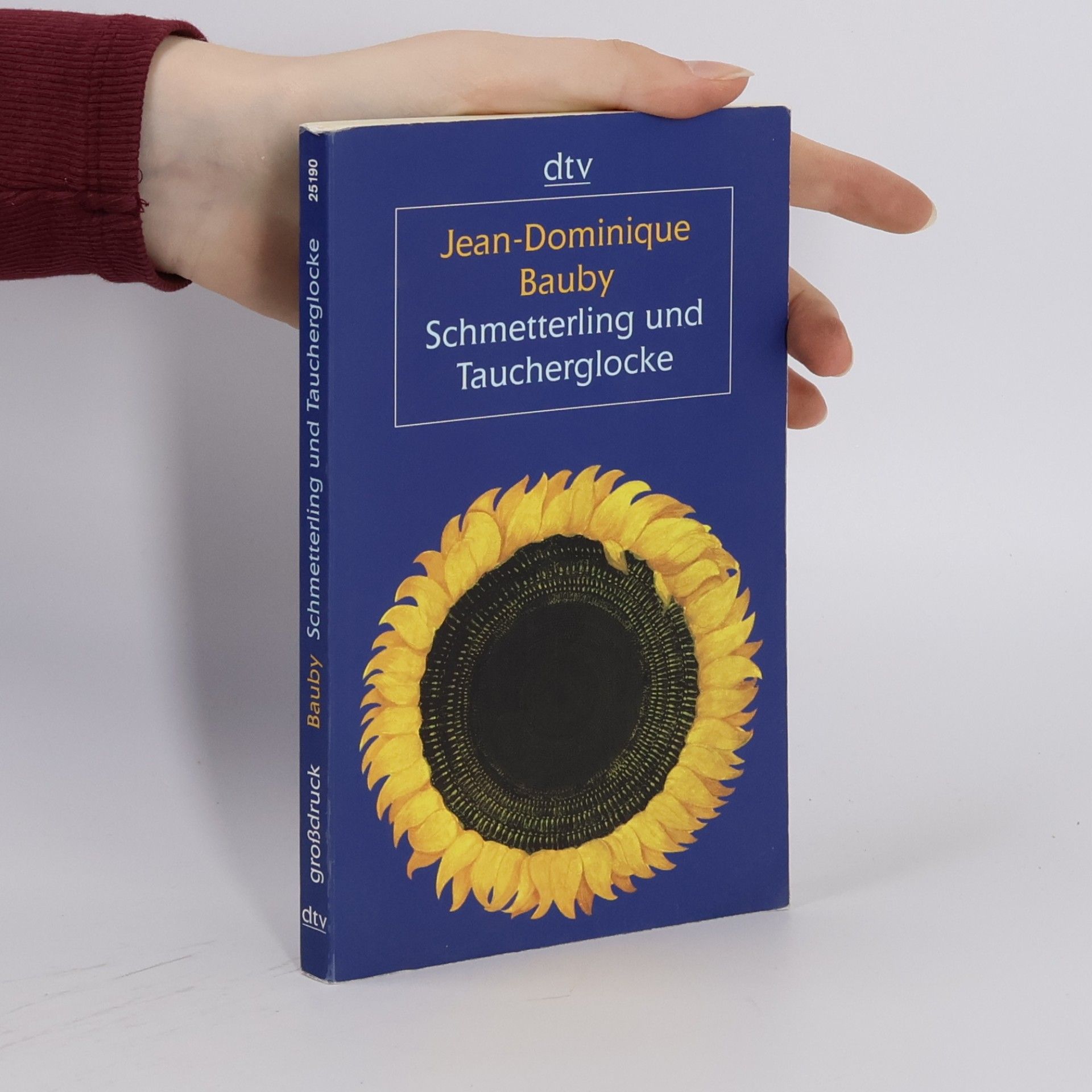 Jean-Dominique Bauby Schmetterling und Taucherglocke, Großdruck